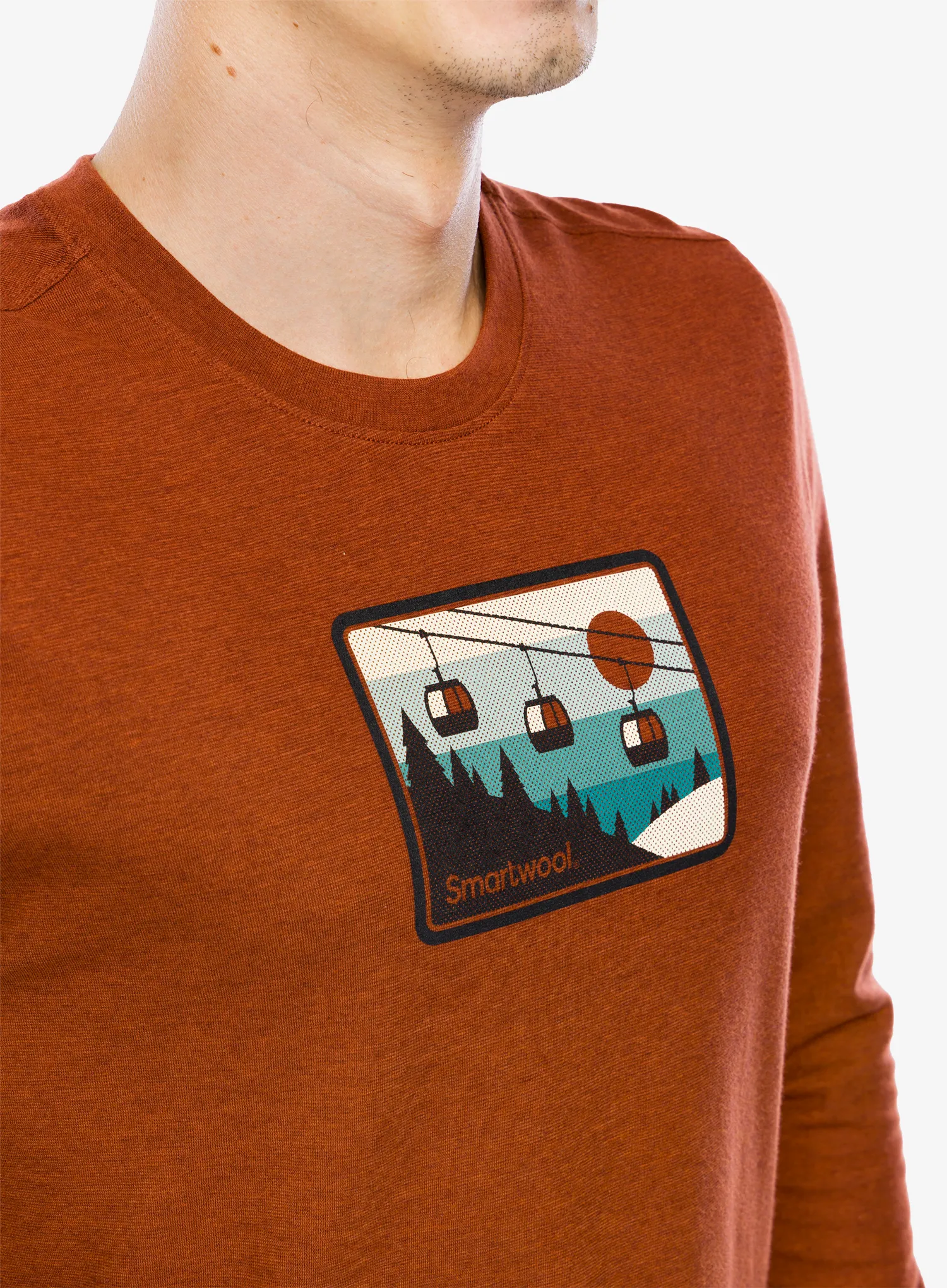 Кофта без каптура Smartwool Gondola Ride Graphic Long Sleeve Tee - pecan brown