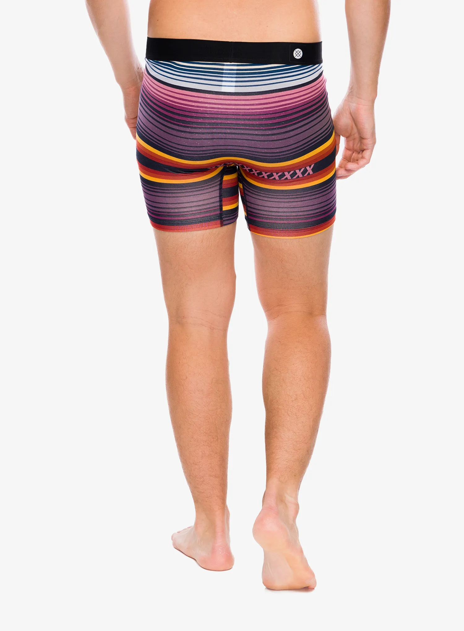 Боксери  Stance Curren Wholester - grape