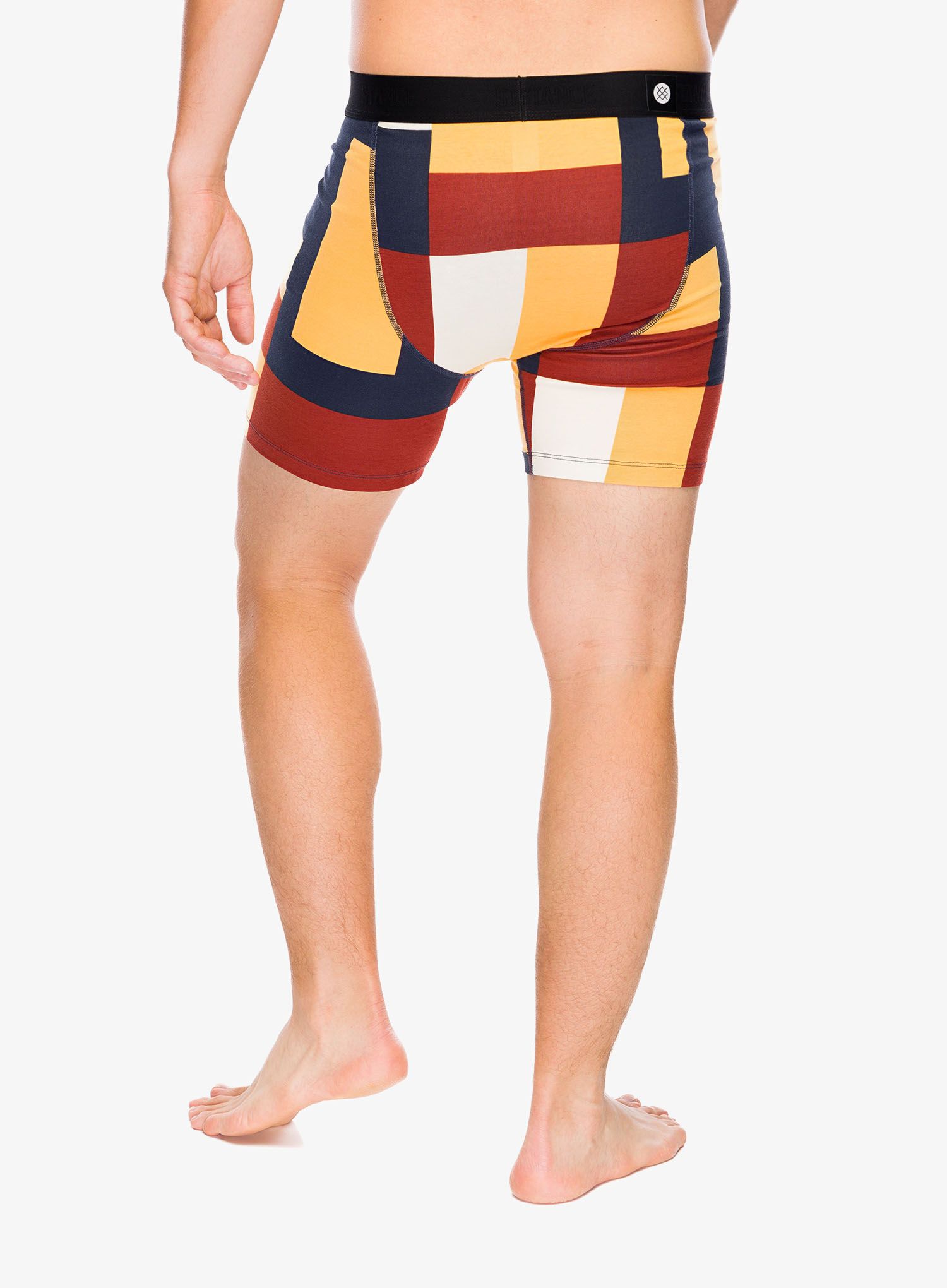 Боксери  Stance Primary Boxer Brief 2-Pack - multi