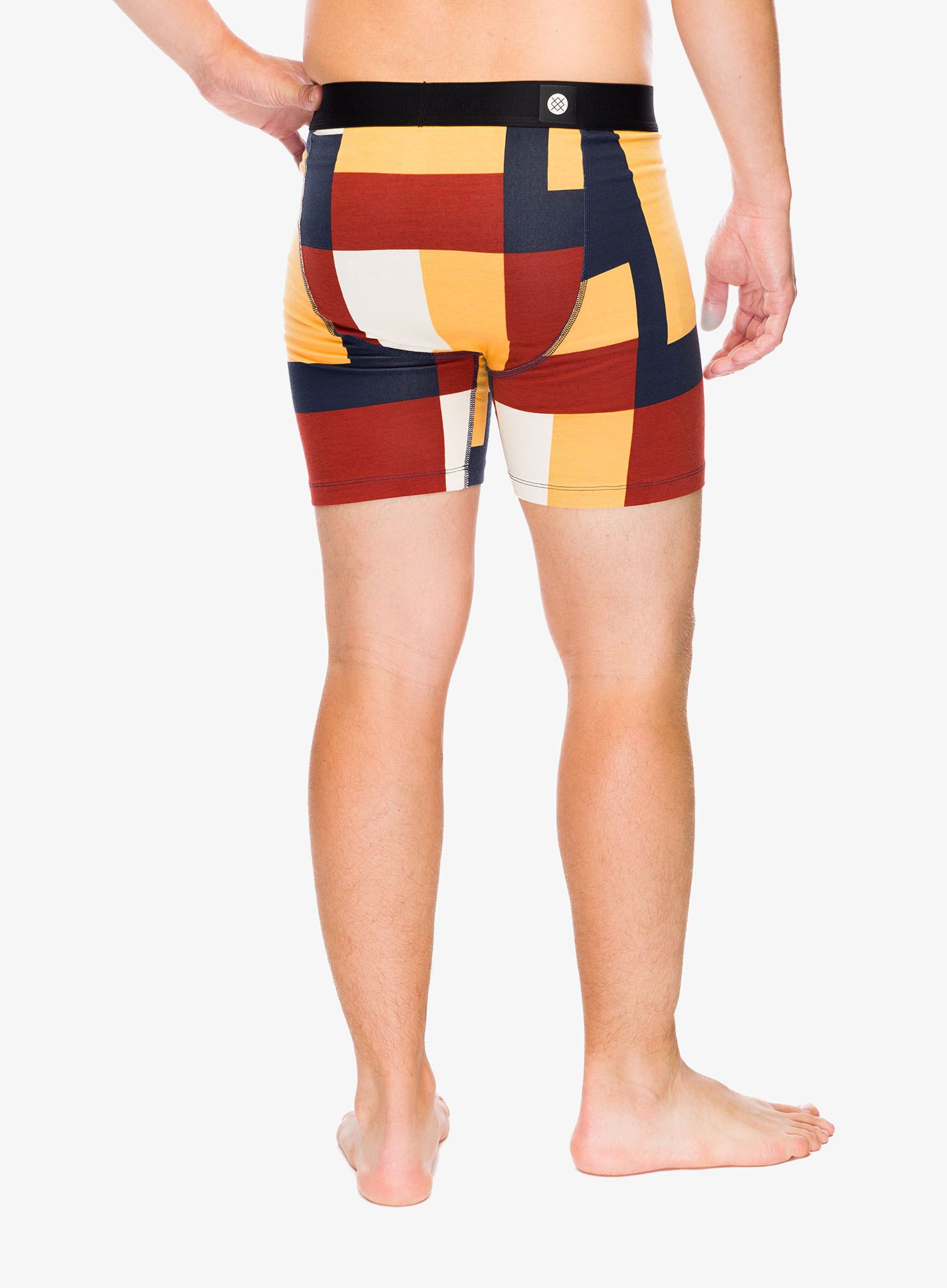 Боксери  Stance Primary Boxer Brief 2-Pack - multi