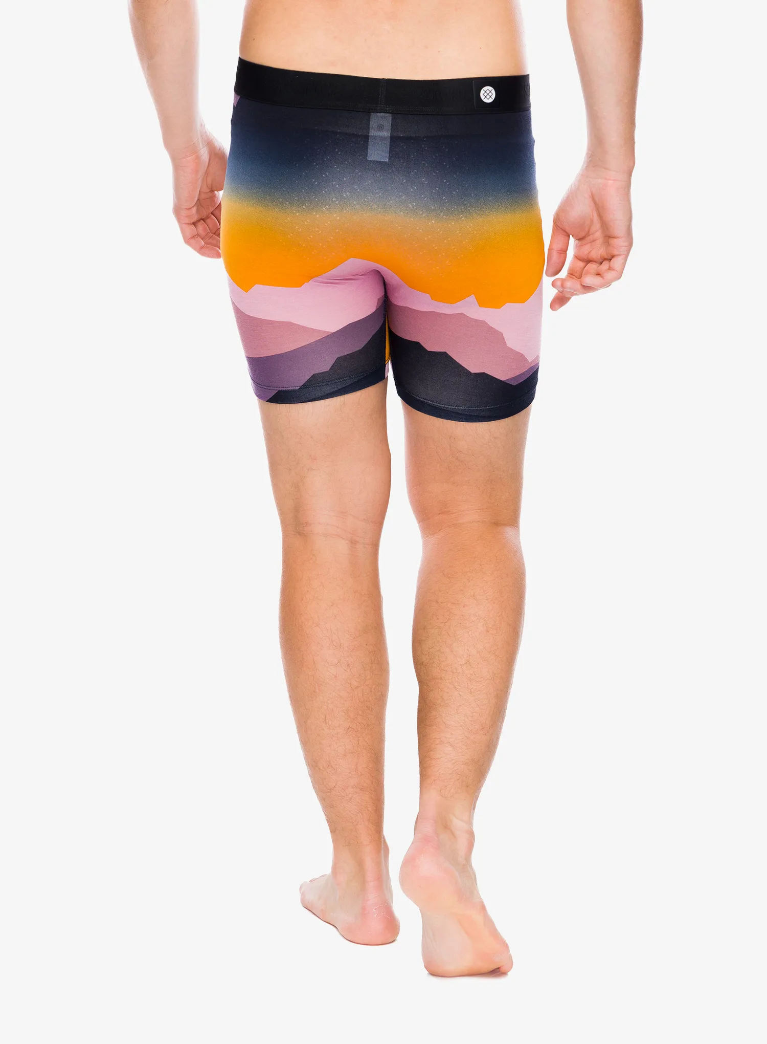Боксери  Stance Saddleback Wholester - navy fade