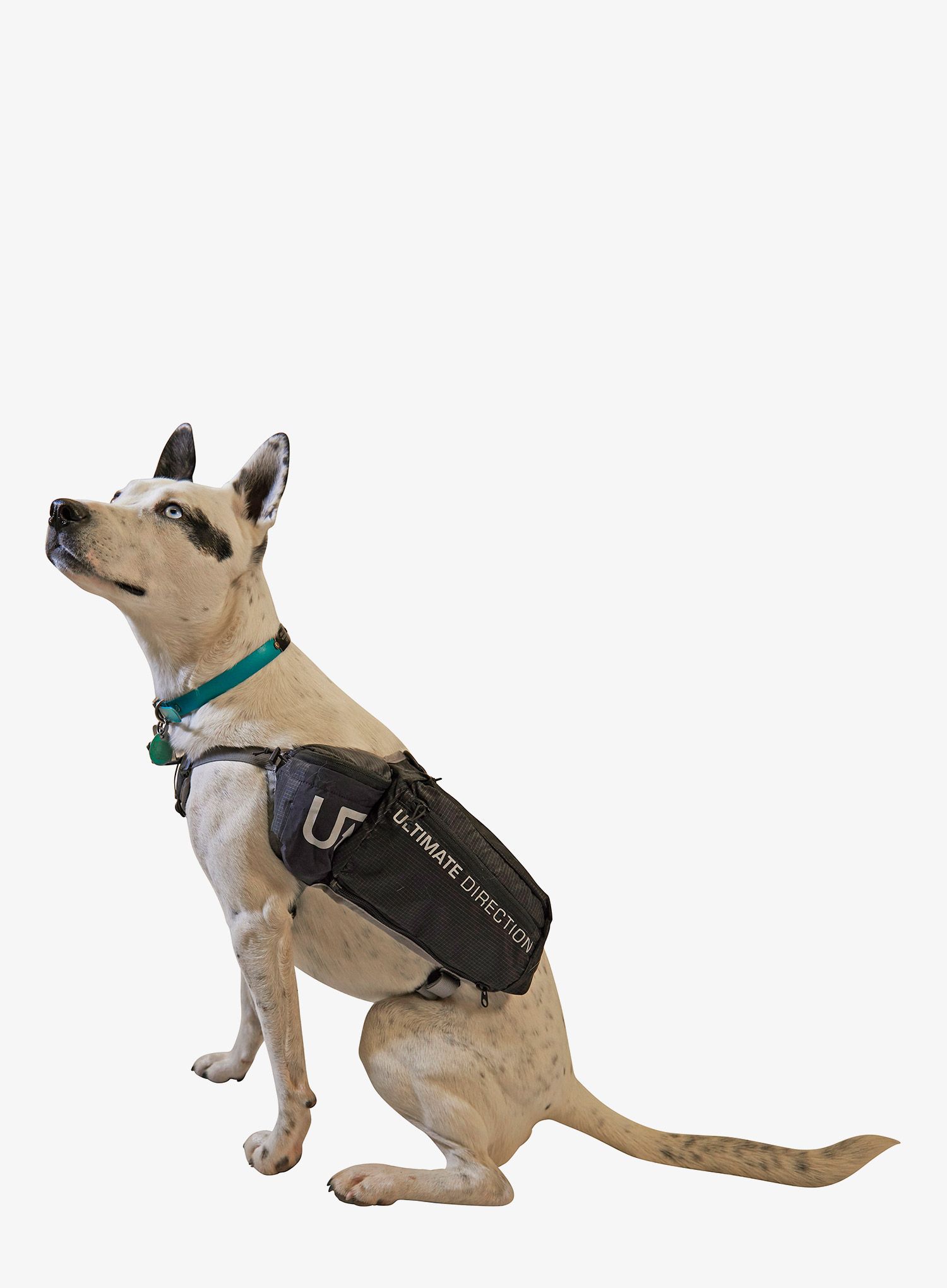 Сумки для собаки Ultimate Direction Dog Vest - black