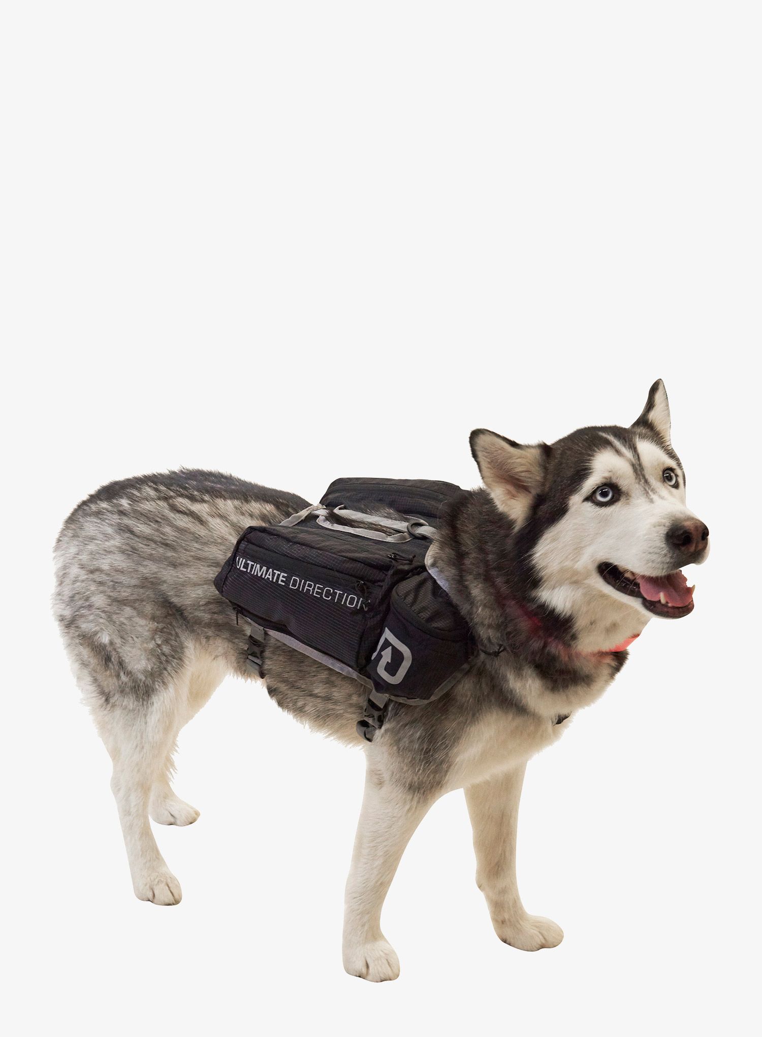 Сумки для собаки Ultimate Direction Dog Vest - black