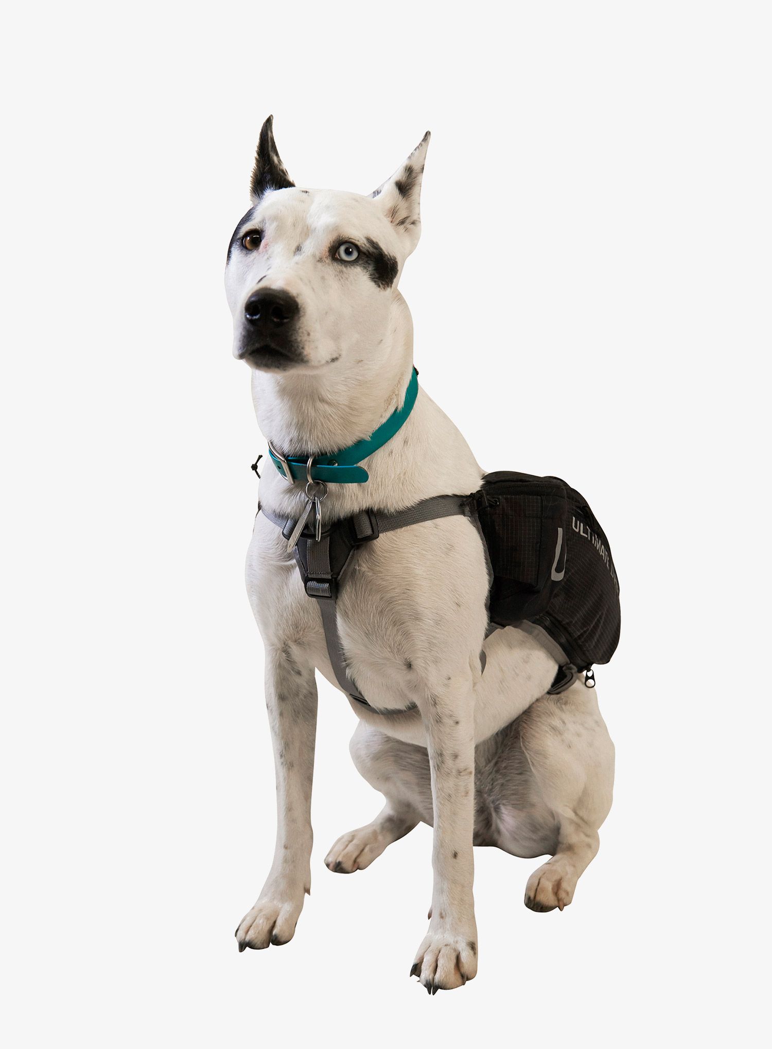 Сумки для собаки Ultimate Direction Dog Vest - black