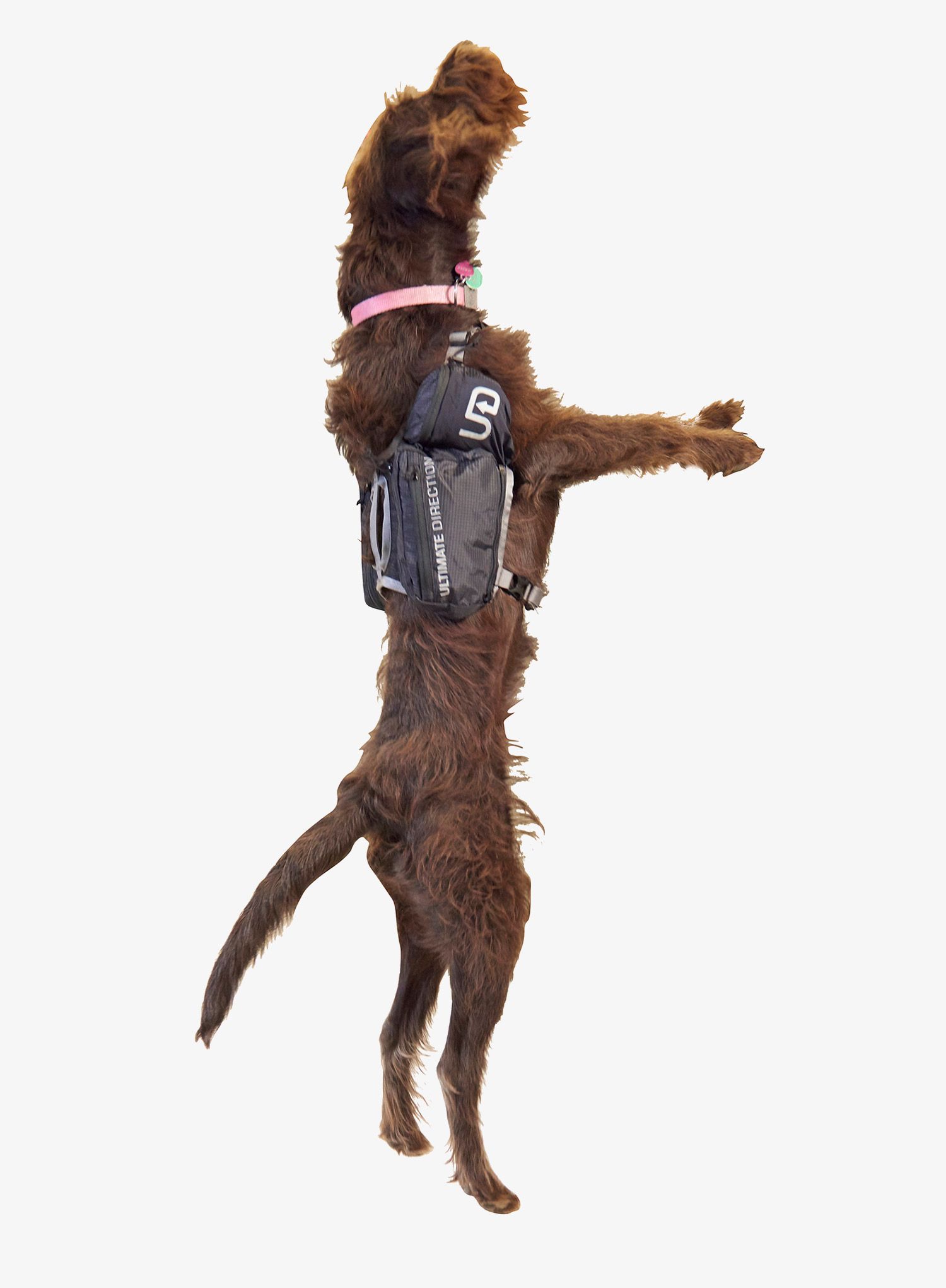 Сумки для собаки Ultimate Direction Dog Vest - black