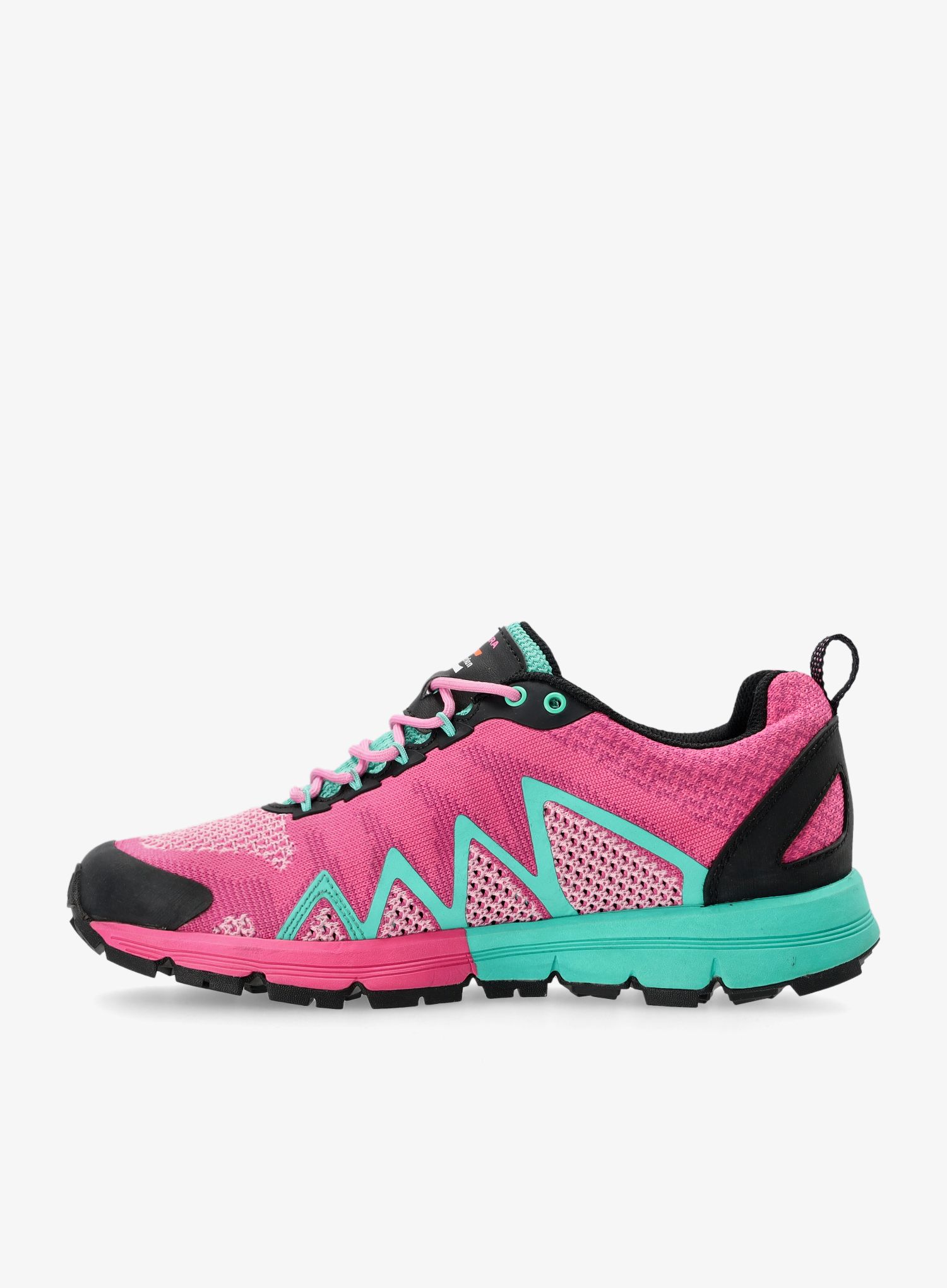 Черевики жіночі Zamberlan Kimera GTX RR - pink