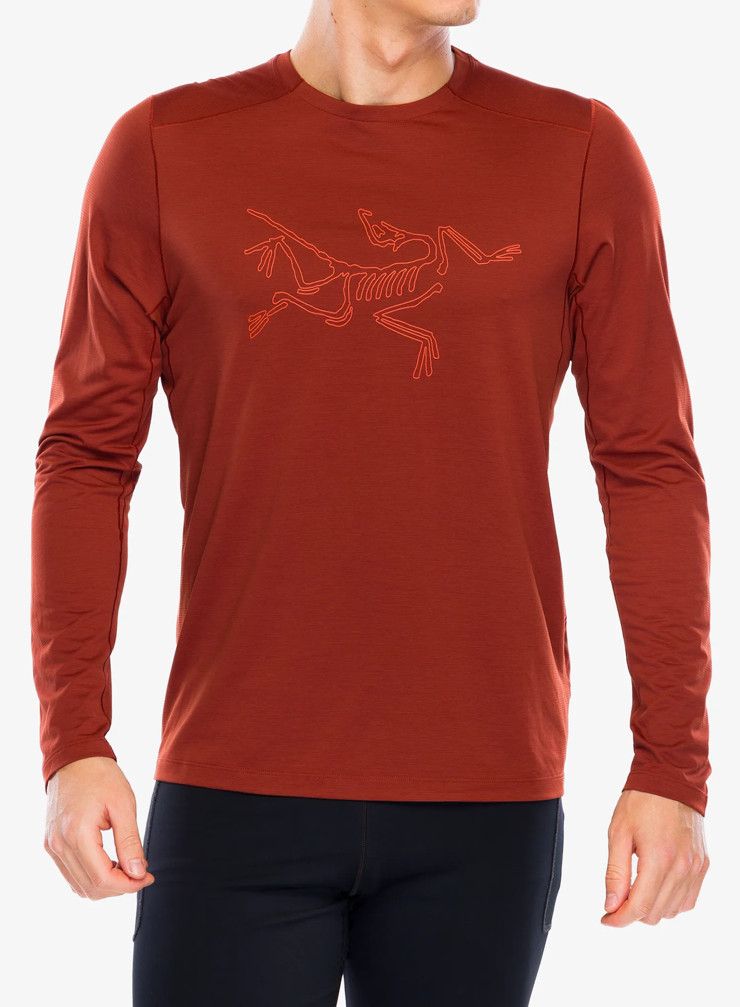 Кофта для бігу Arcteryx Cormac Logo LS - sequoia heather/solaris