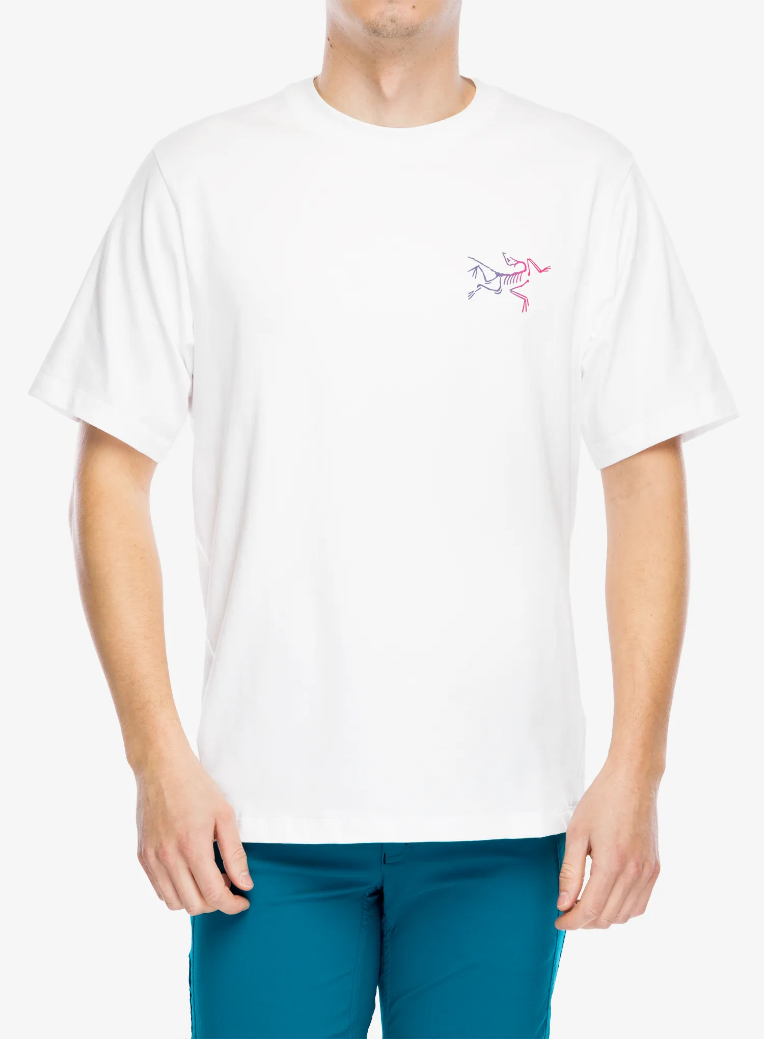 Футболка для скелелазіння Arcteryx Kragg Cotton Logo SS - white light/multi