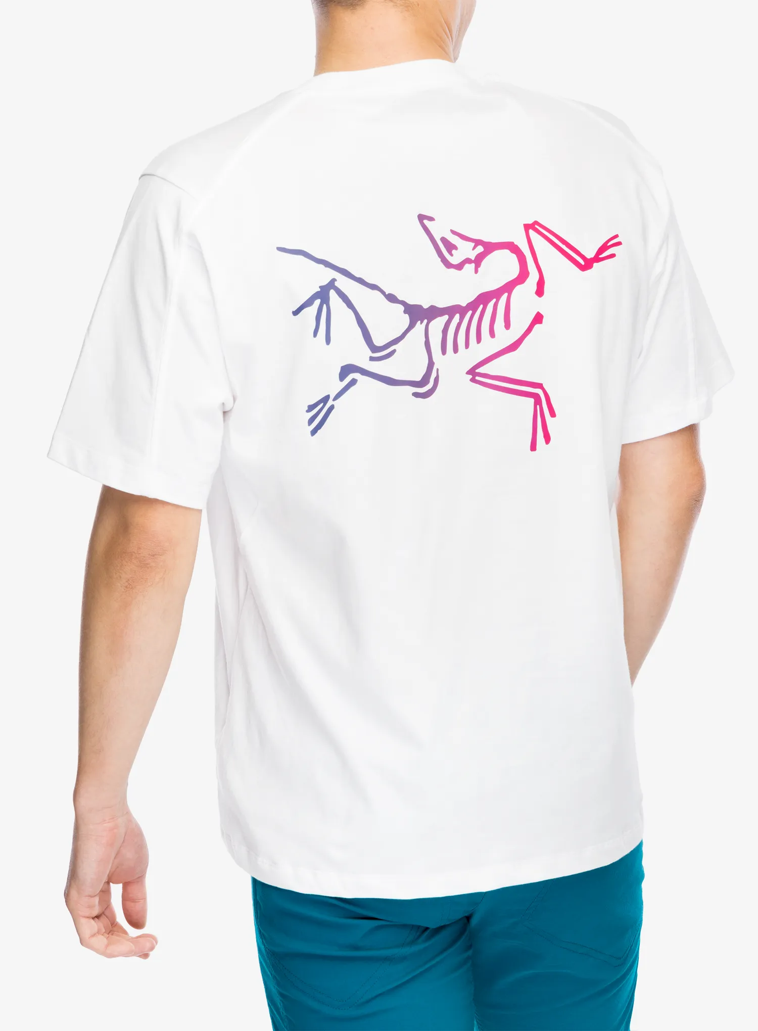 Футболка для скелелазіння Arcteryx Kragg Cotton Logo SS - white light/multi