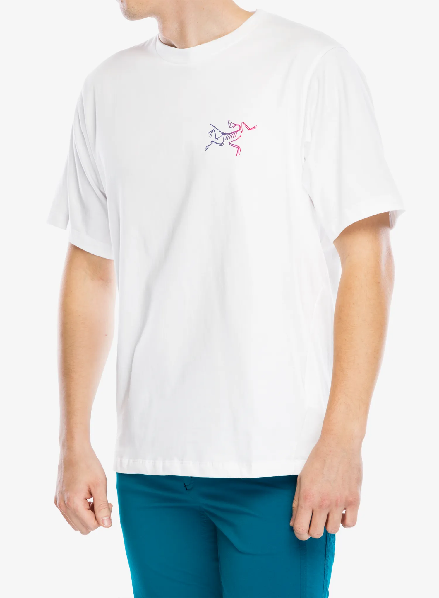 Футболка для скелелазіння Arcteryx Kragg Cotton Logo SS - white light/multi