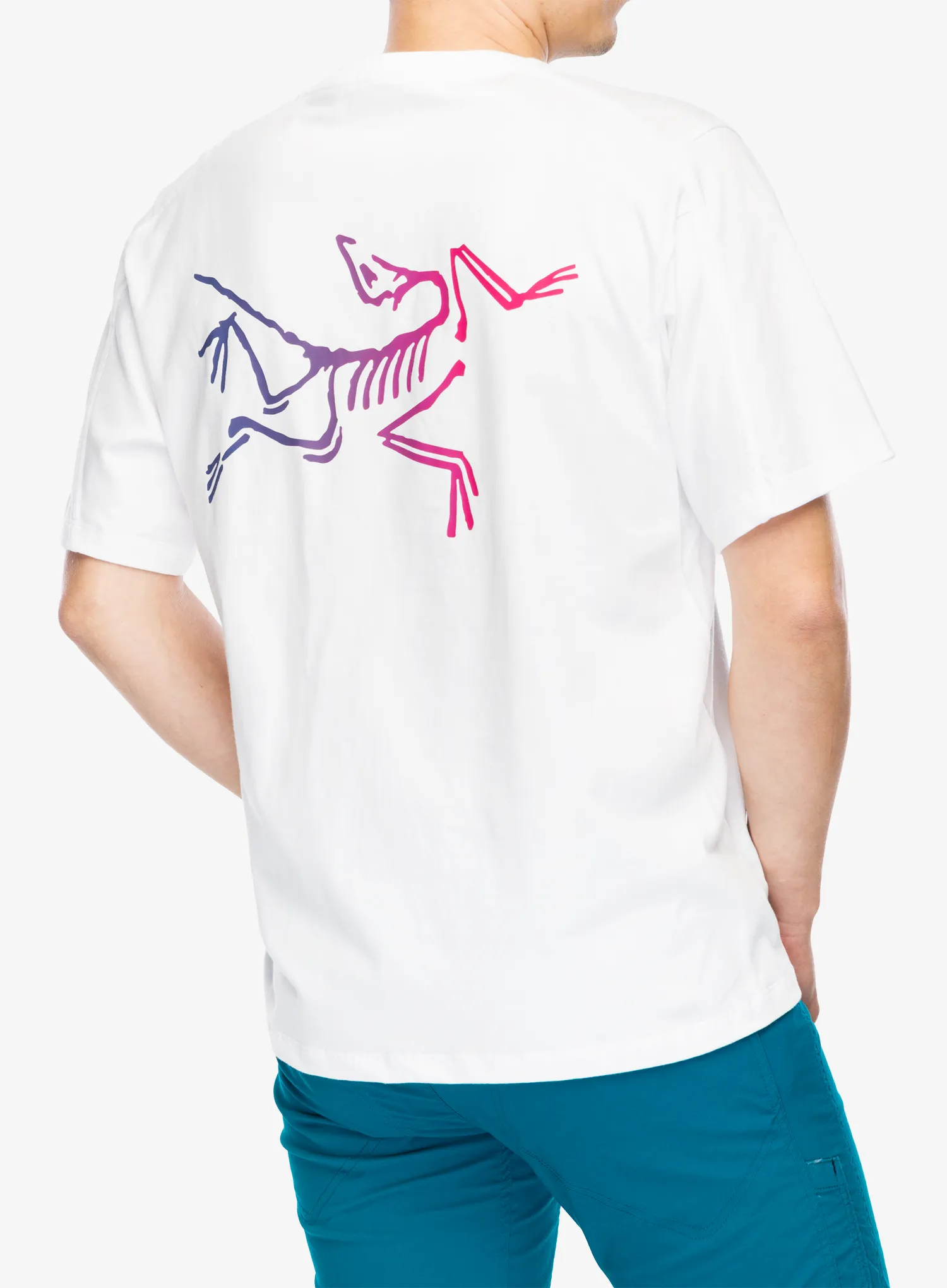 Футболка для скелелазіння Arcteryx Kragg Cotton Logo SS - white light/multi