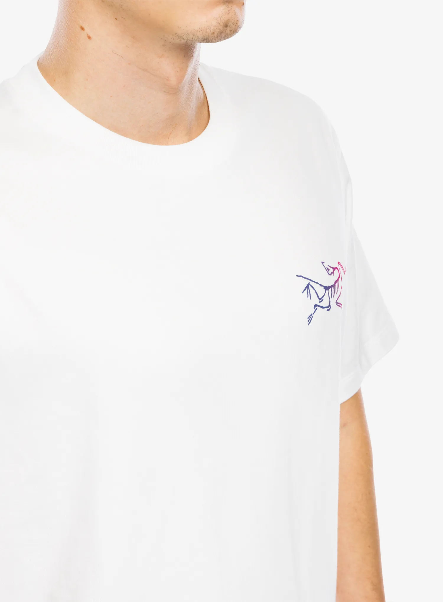 Футболка для скелелазіння Arcteryx Kragg Cotton Logo SS - white light/multi