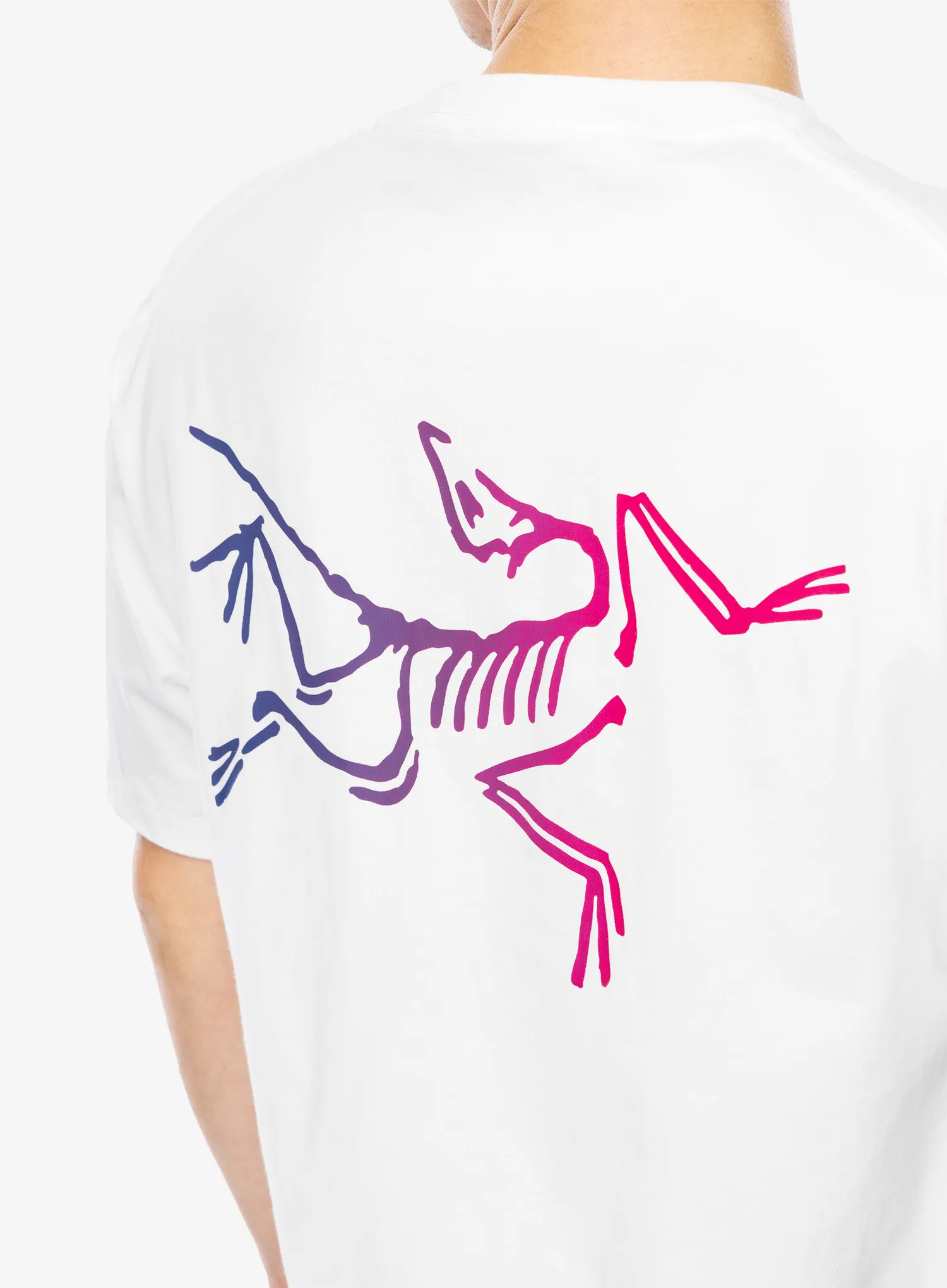 Футболка для скелелазіння Arcteryx Kragg Cotton Logo SS - white light/multi