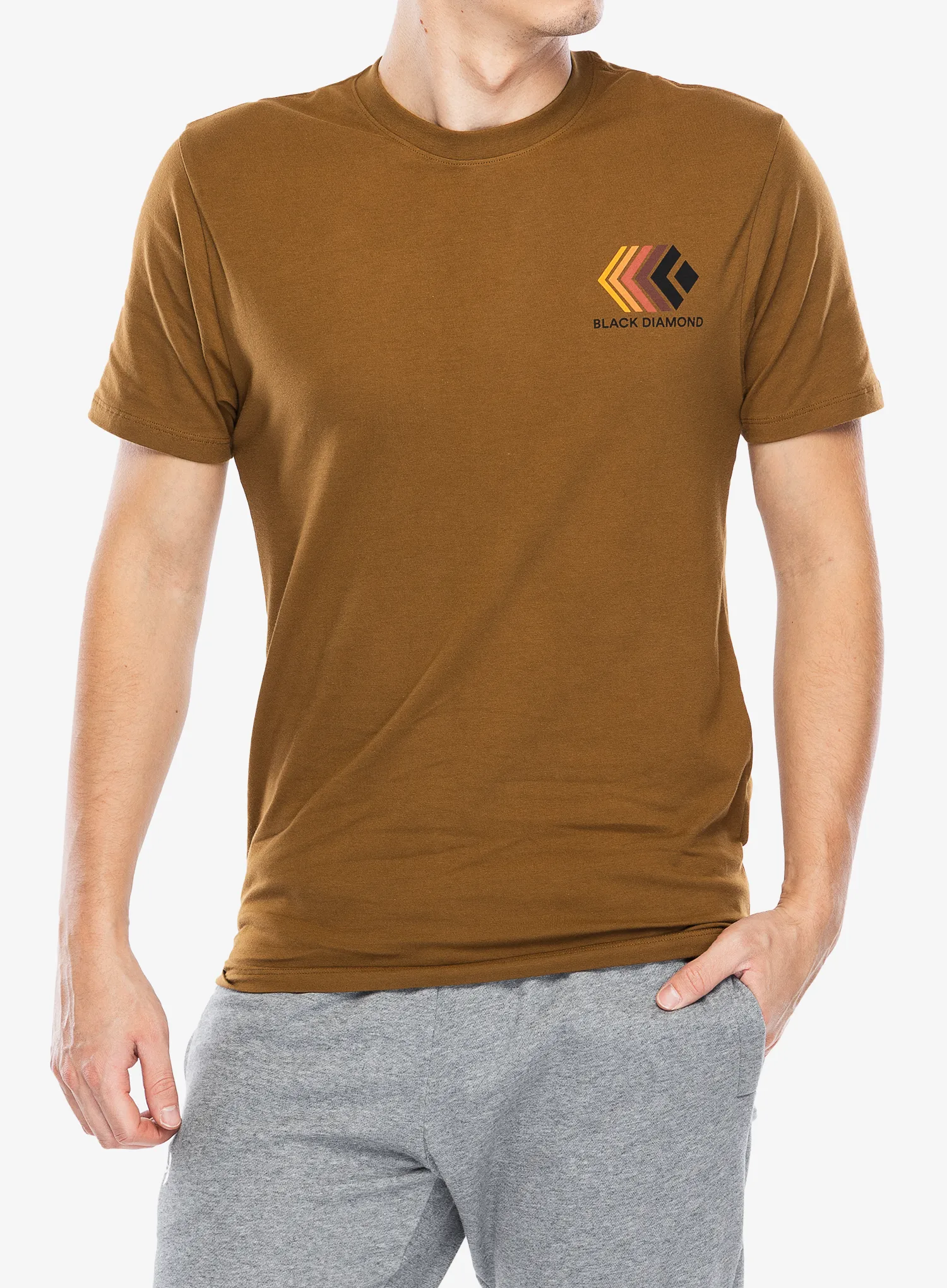 Футболка бавовняна Black Diamond Faded SS Tee - dark curry