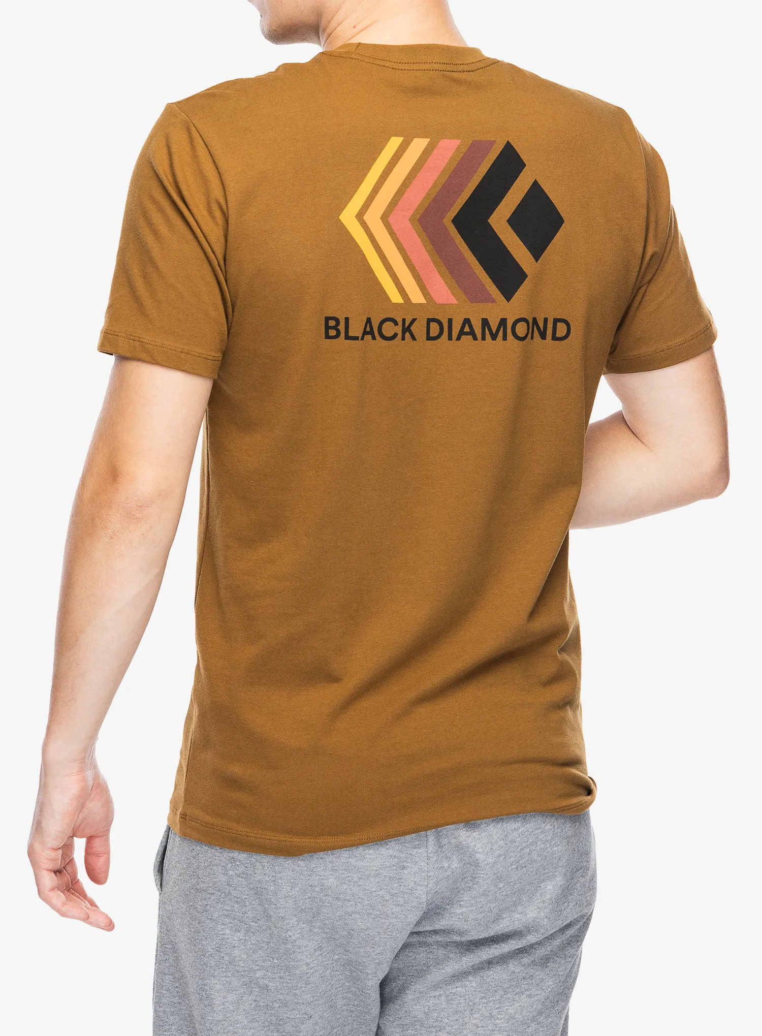 Футболка бавовняна Black Diamond Faded SS Tee - dark curry