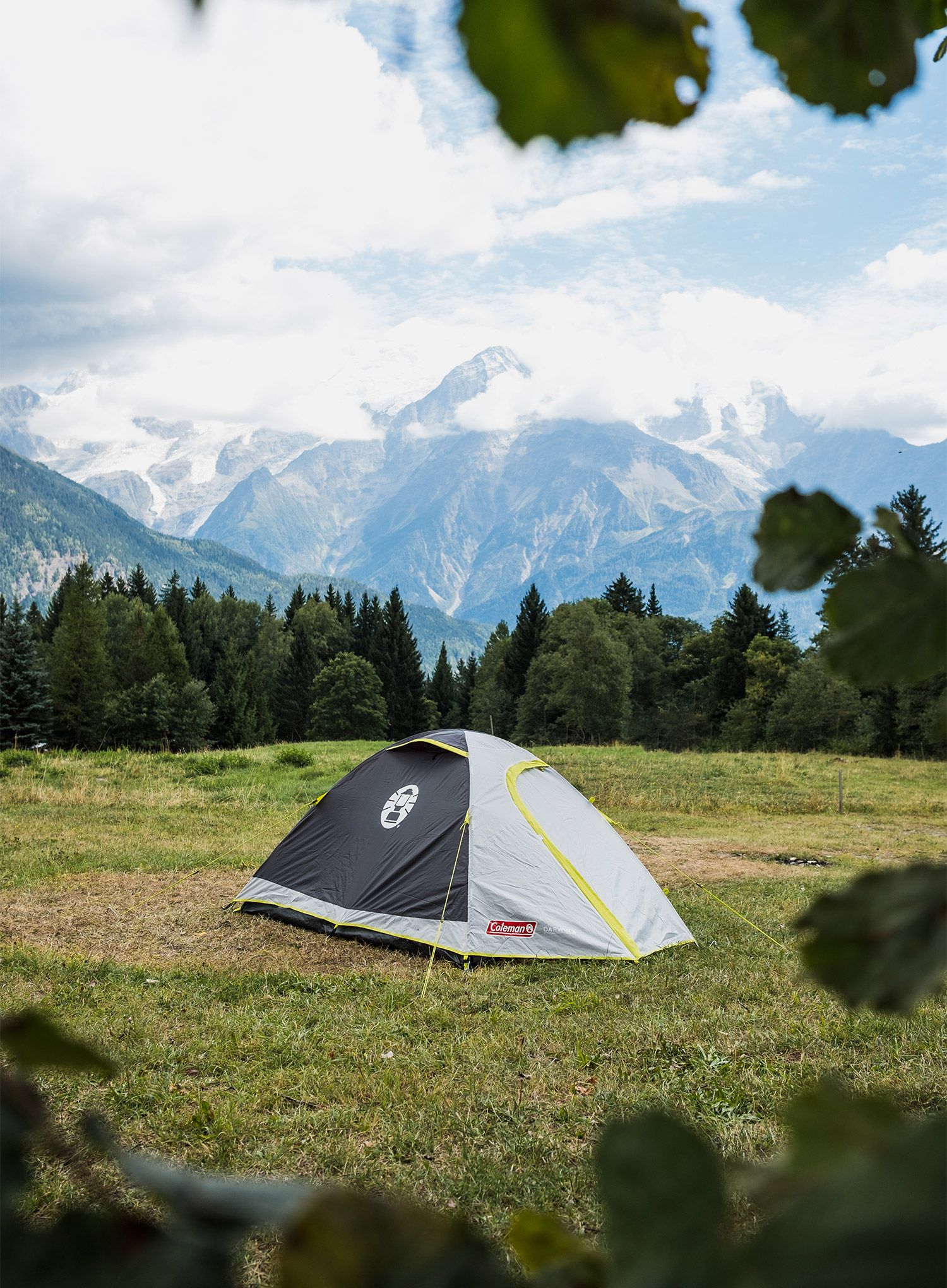 Намет 3-місний Coleman Darwin 3 Plus - grey/green