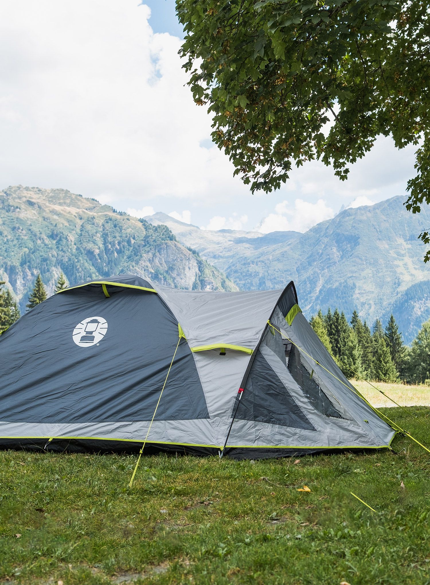 Намет 3-місний Coleman Darwin 3 Plus - grey/green