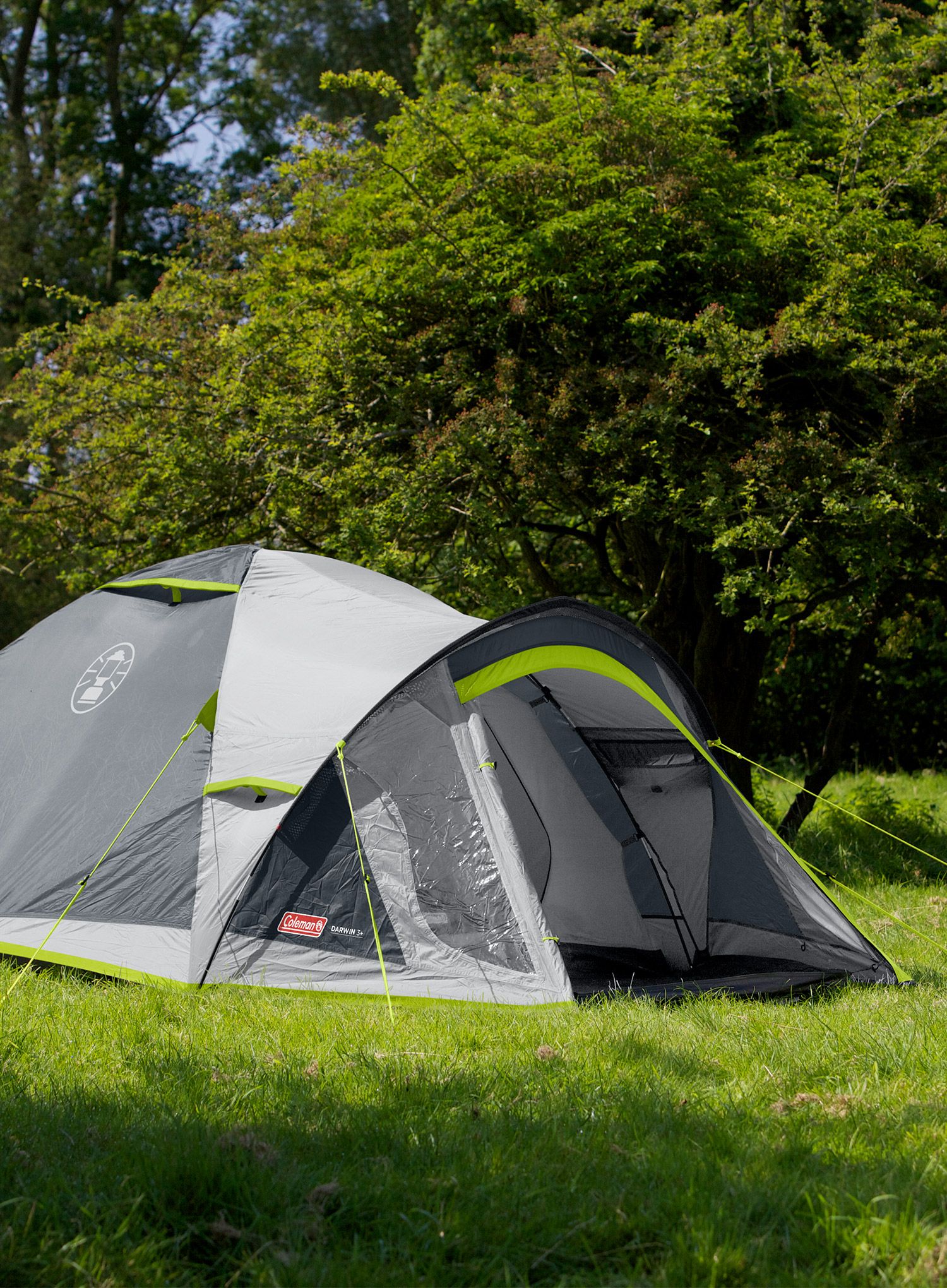 Намет 3-місний Coleman Darwin 3 Plus - grey/green
