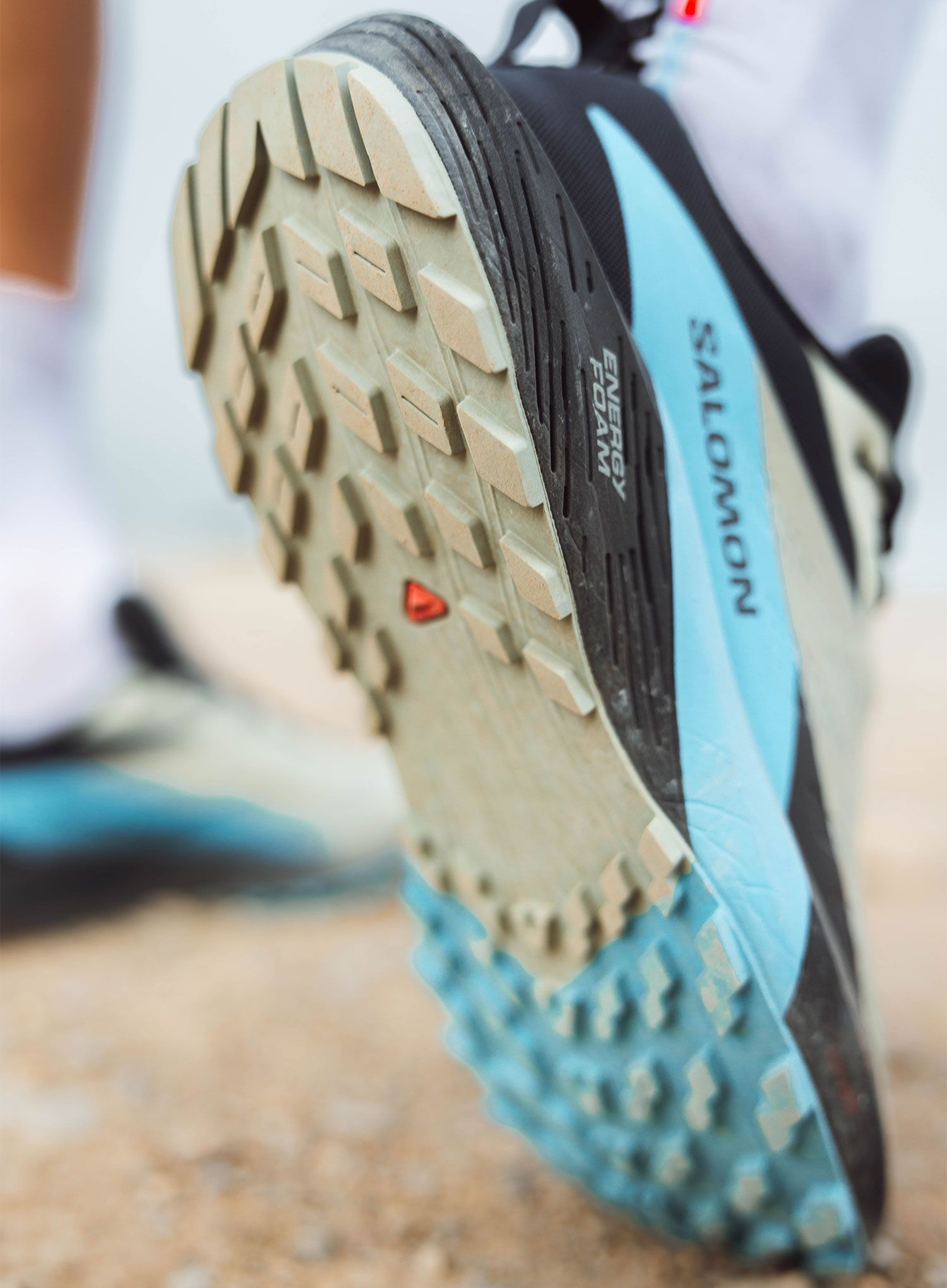 Черевики для трейлу Salomon Sense Ride 5 - alfalfa/carbon/blue