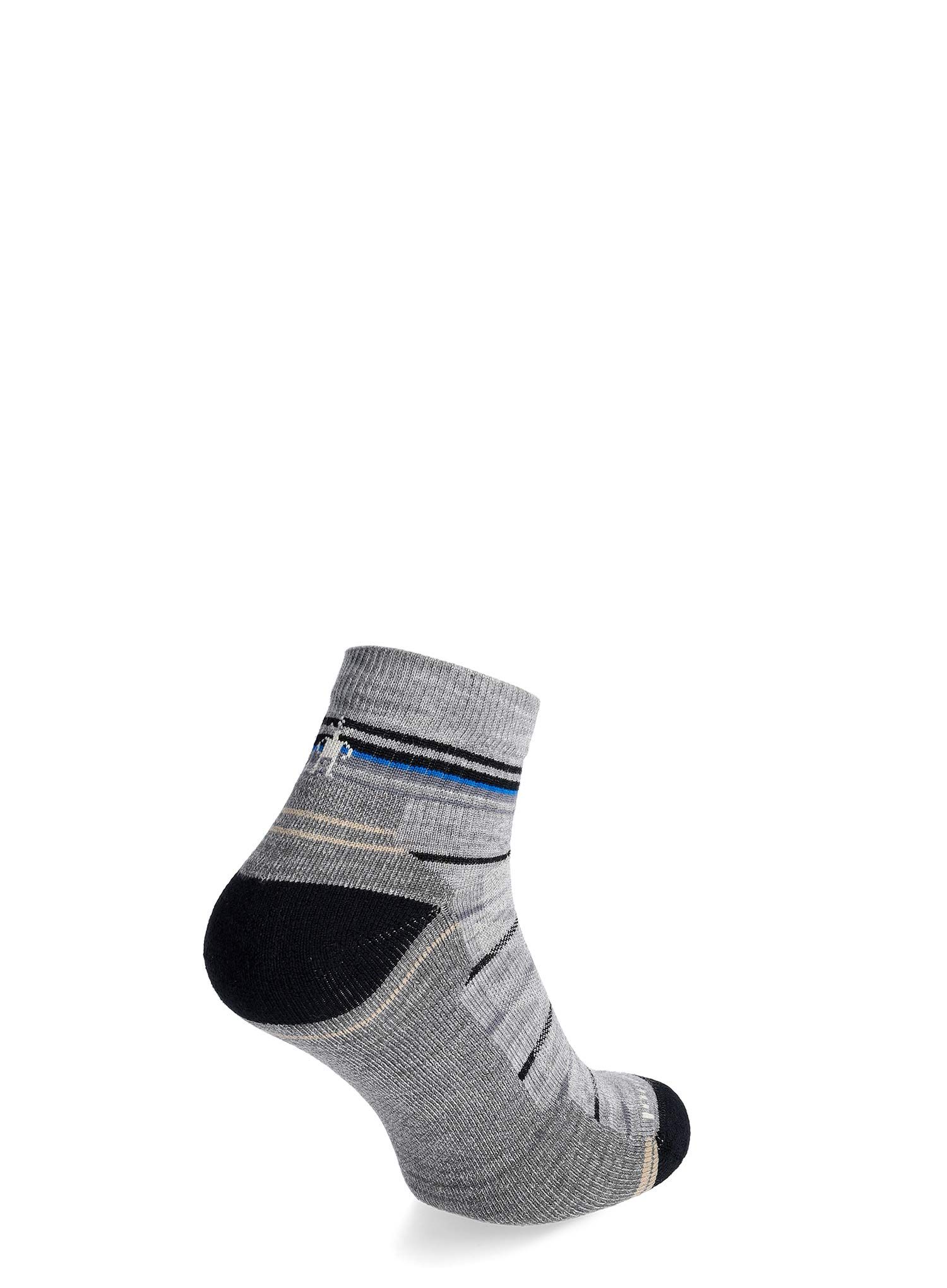 Шкарпетки туристичні Smartwool Performance Hike Light Cushion Pattern Ankle - light gray