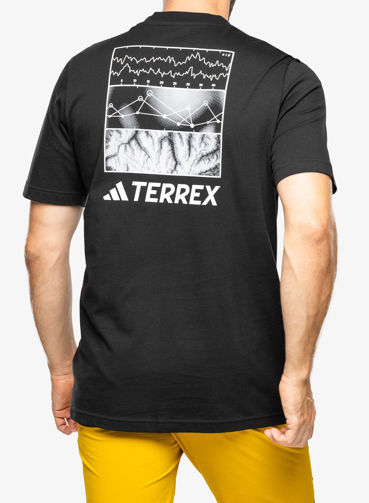 Футболка бавовняна adidas TERREX Graphic Altitude Tee - black