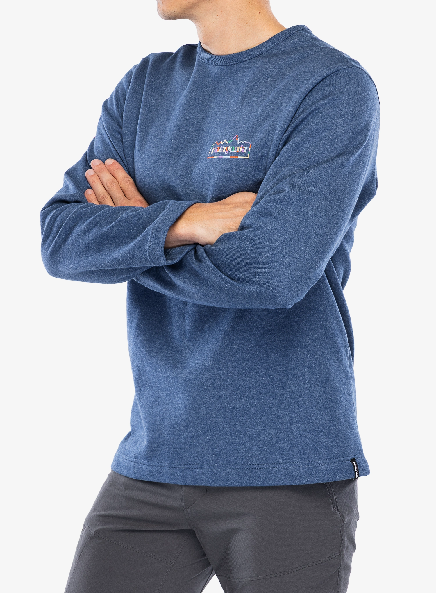 Кофта без каптура Patagonia LW Unity Fitz Wildrise Crew - clement blue