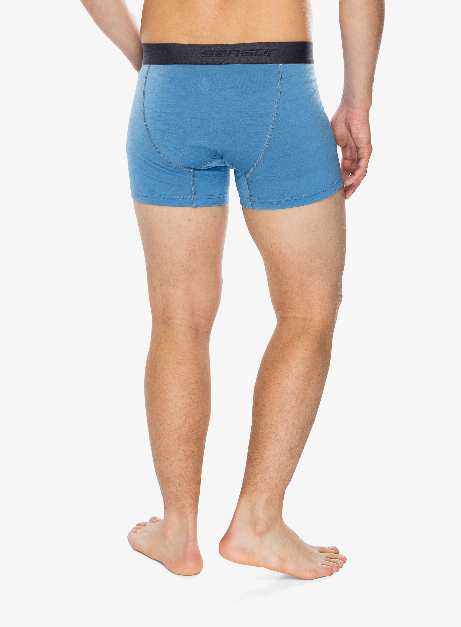 Боксери  Sensor Merino Active Boxers - blue/blue