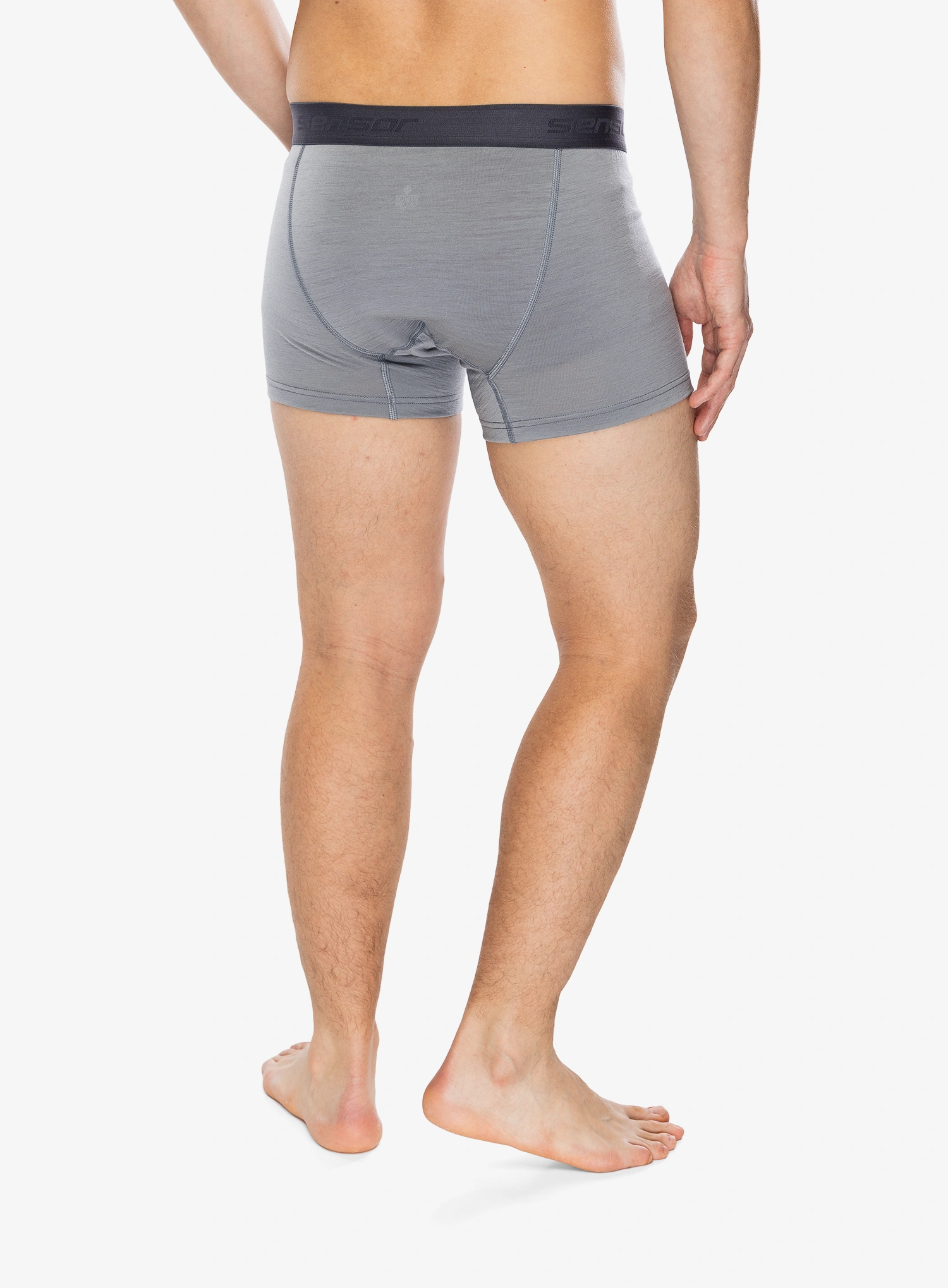 Боксери  Sensor Merino Active Boxers - grey/grey