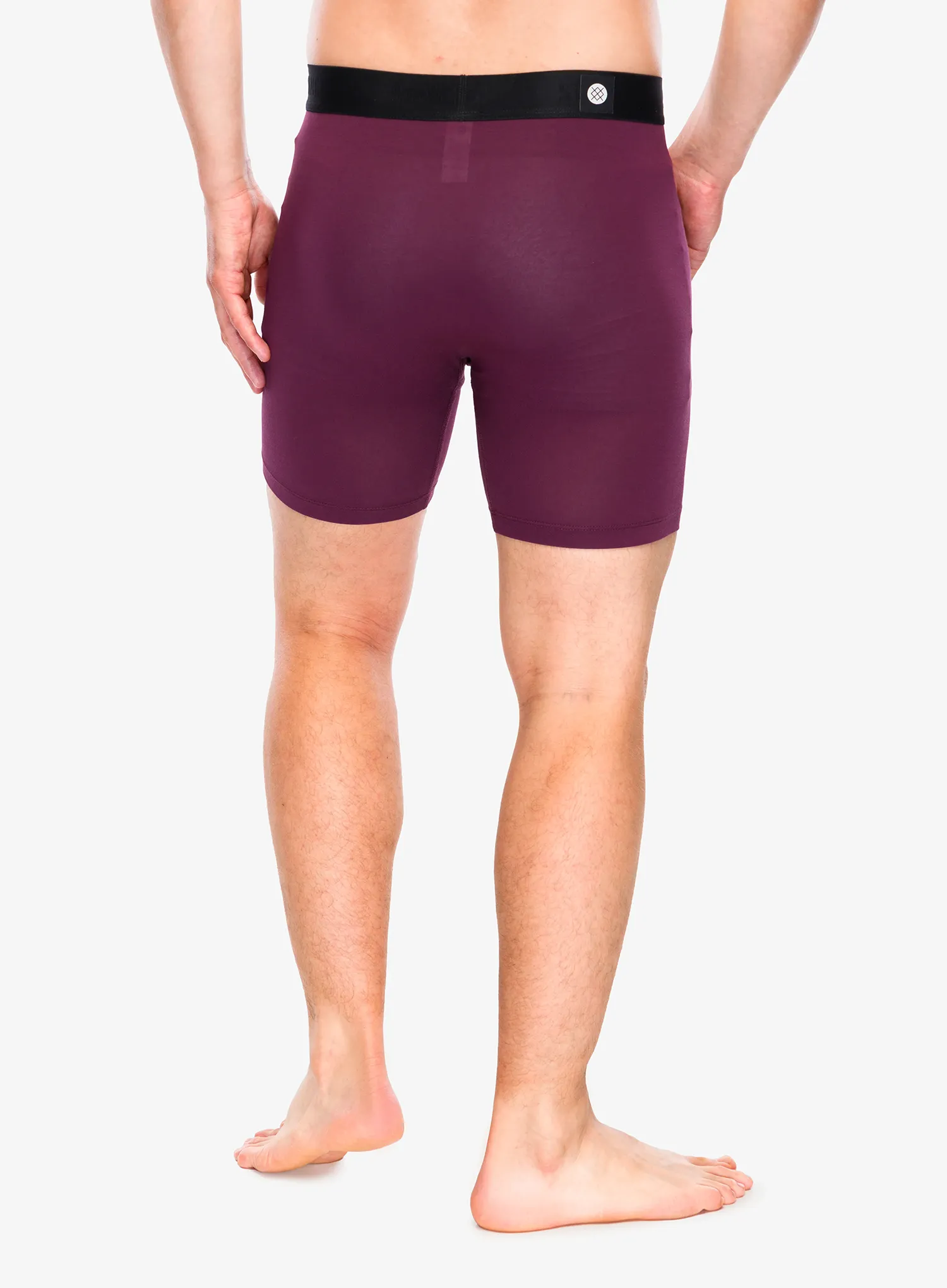 Боксери  Stance Fig Wholester - fig