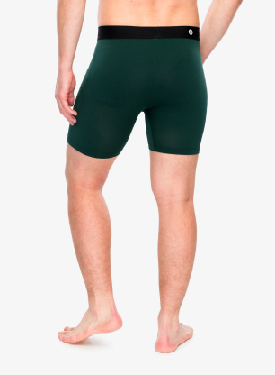 Боксери Stance The Boxer Brief - pine wholester