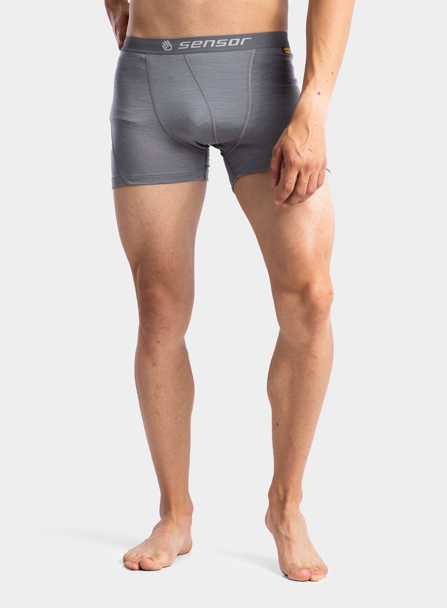 Боксери  Sensor Merino Active Boxers - grey