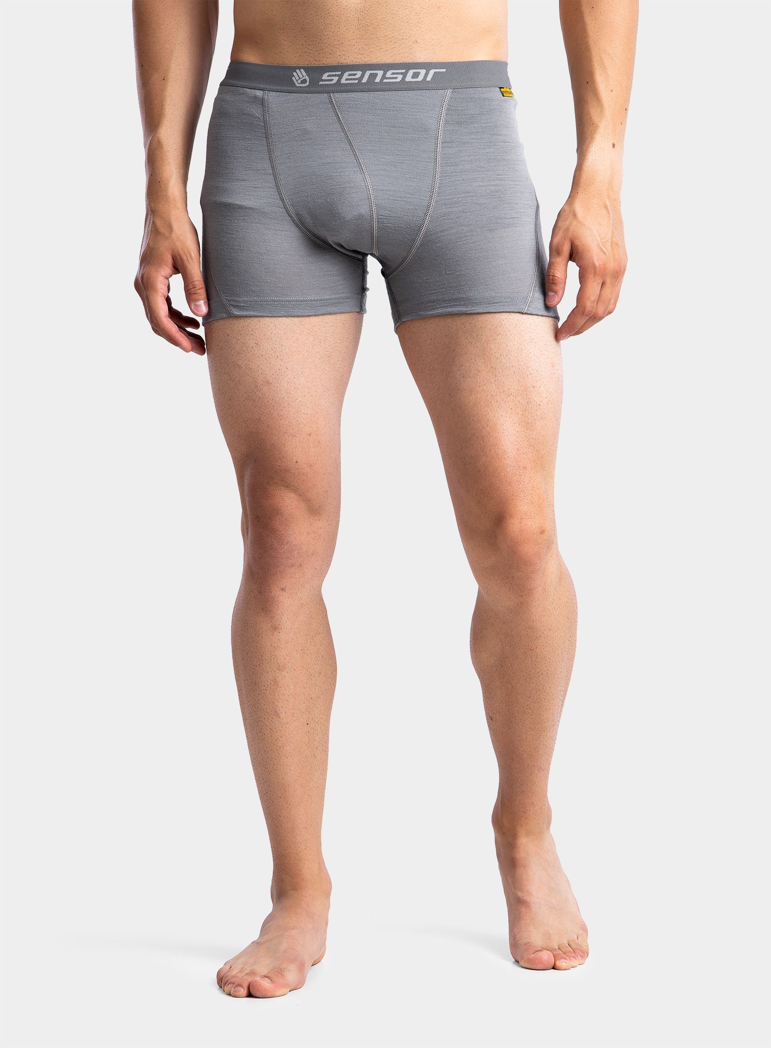 Боксери  Sensor Merino Active Boxers - grey