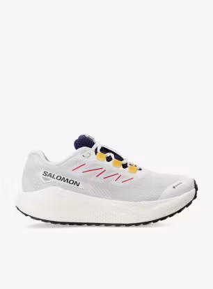 SalomonAeroBlaze3GrvlGTX_vanilaastralastra198720179332a.webp
