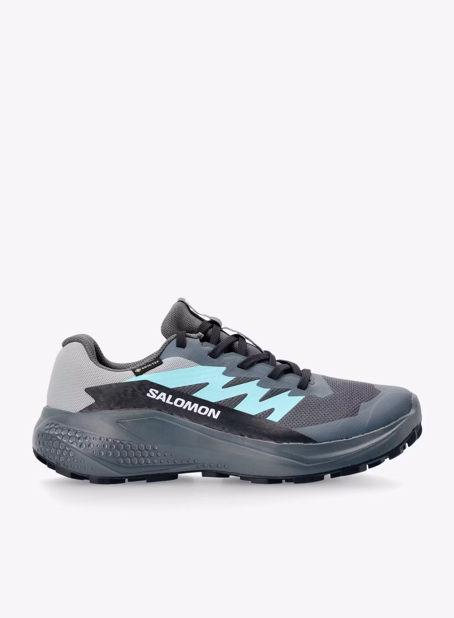SalomonAlphaglideGTX_turbulencebluenavy_195751906708a.jpg