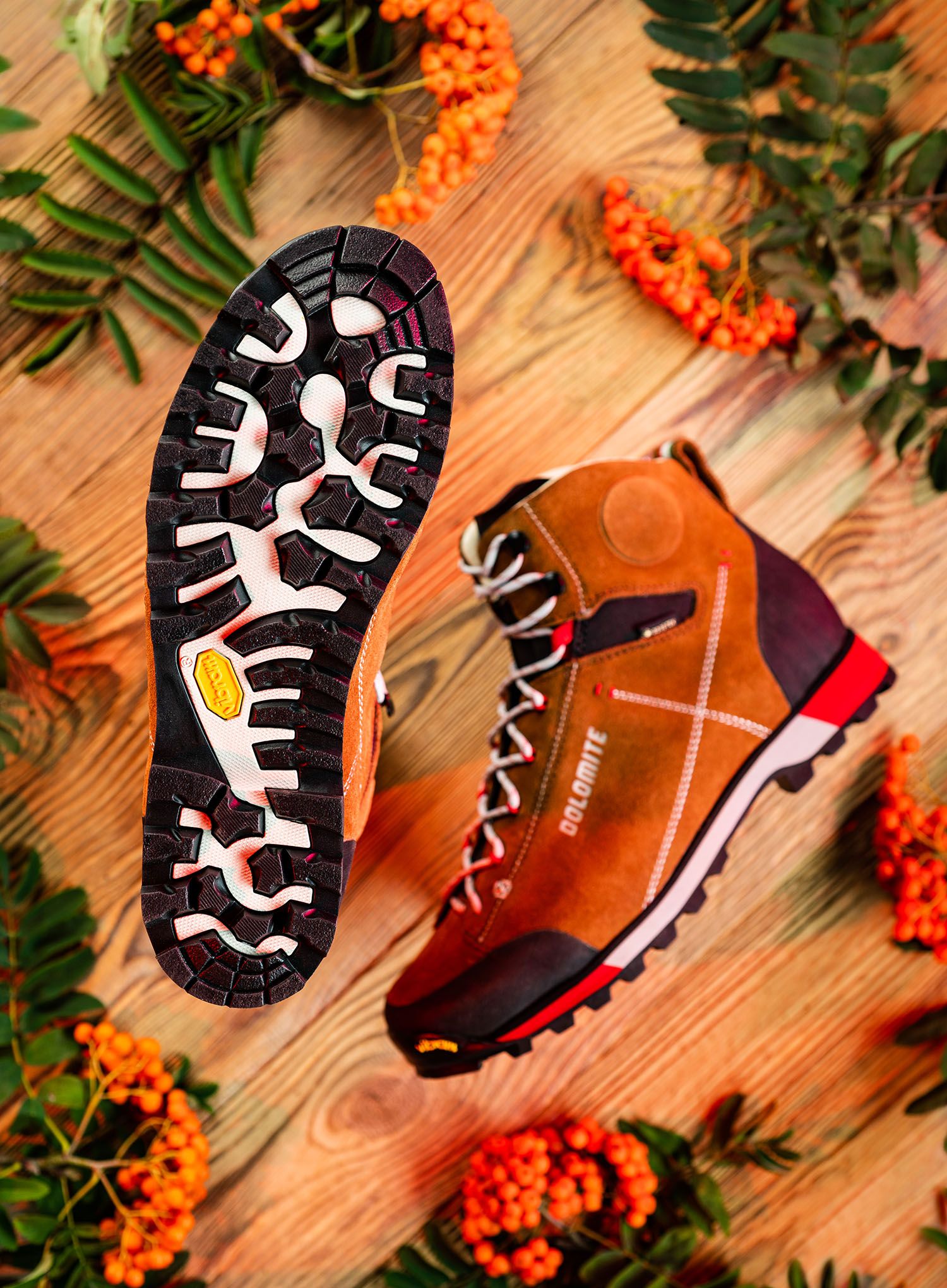 Черевики туристичні Dolomite 54 Hike Evo GTX - bronze brown