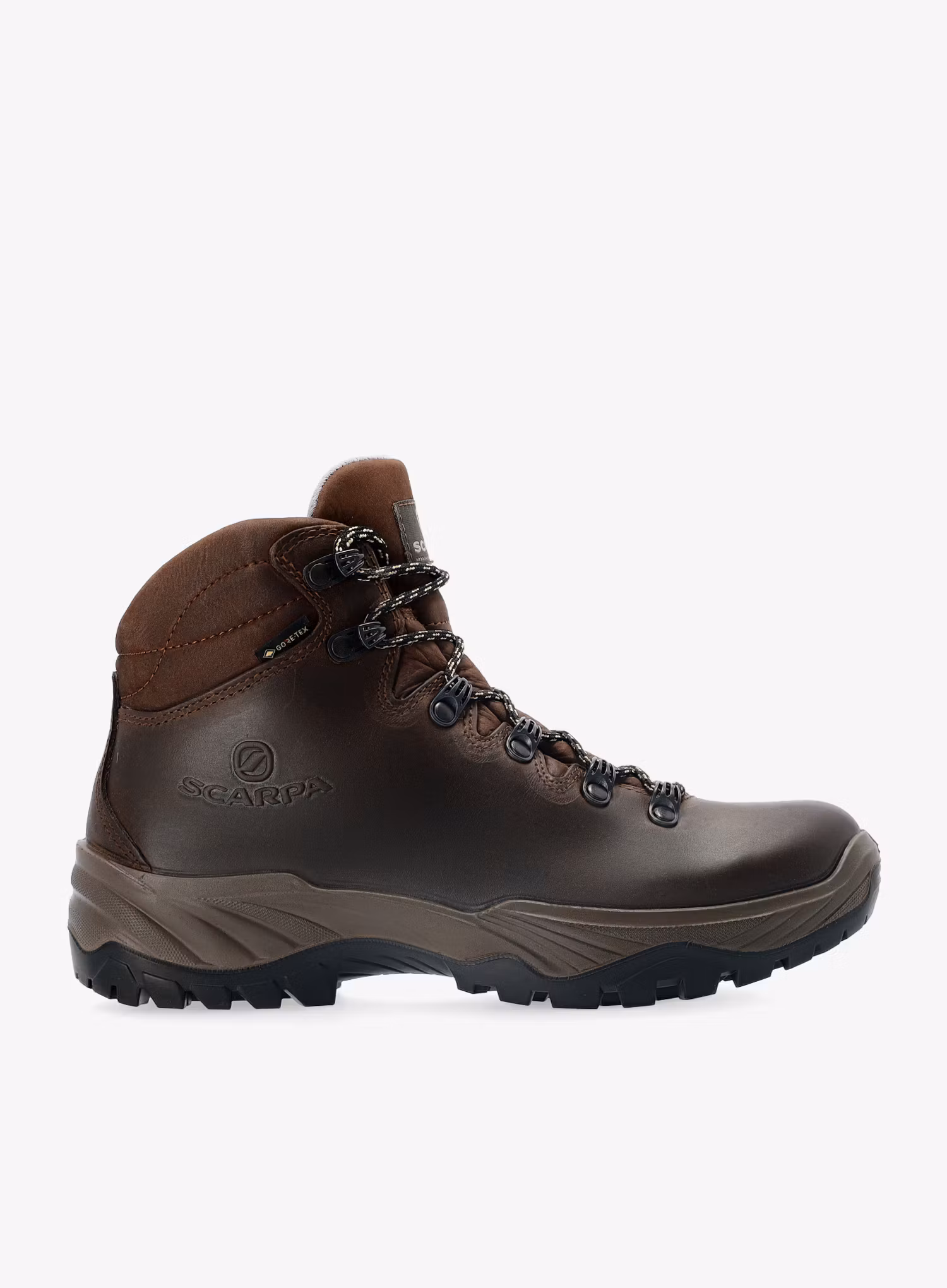 Черевики трекінгові жіночі Scarpa Terra GTX - dark brown