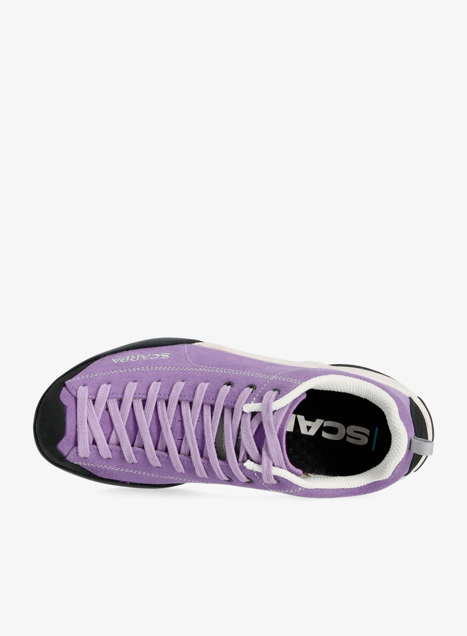 Черевики жіночі Scarpa Mojito - violet tulip