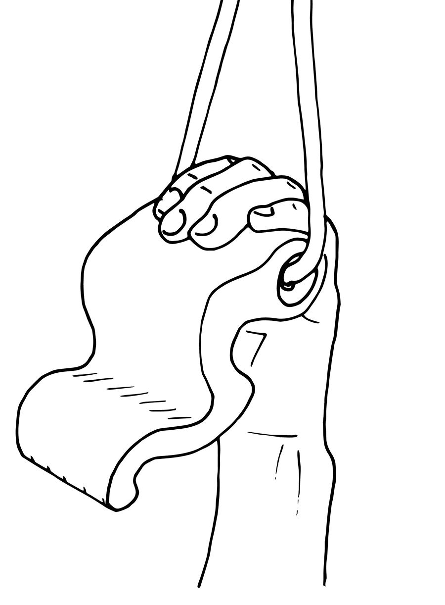 Навчальна дошка Max Climbing Maxgrip - black