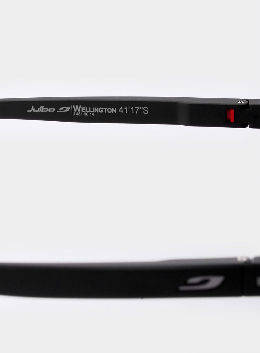Окуляри сонцезахисні Julbo Wellington - matt black