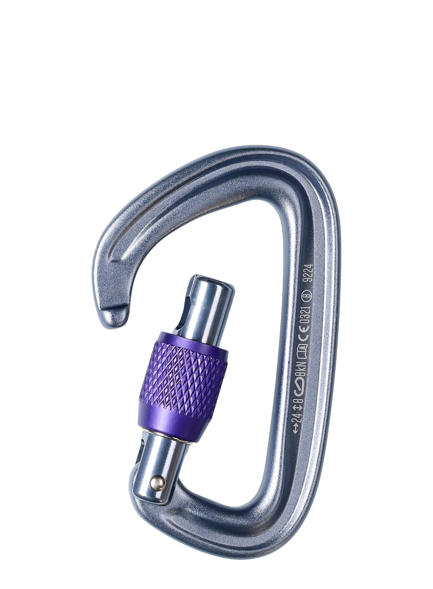 Карабін Black Diamond LiteForge Screwgate - gray