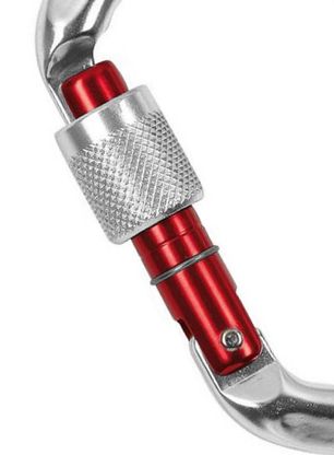 Карабін Climbing Technology/SKYLOTEC D-Shape CF SG - silver/red