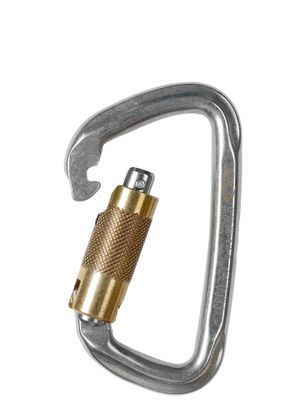 Карабін Climbing Technology/SKYLOTEC D-Shape Stainless Steel TG - steel
