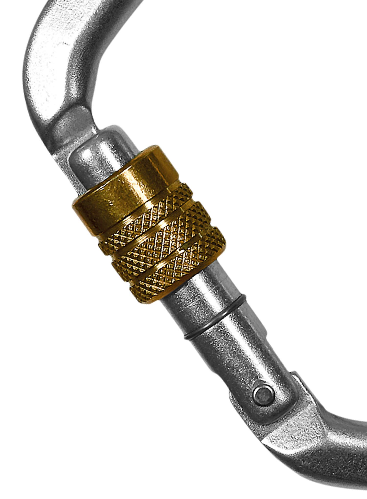 Карабін Climbing Technology Large Steel CF SG - zinc plate