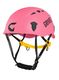 GrivelSalamander2_0_pink_36.jpg