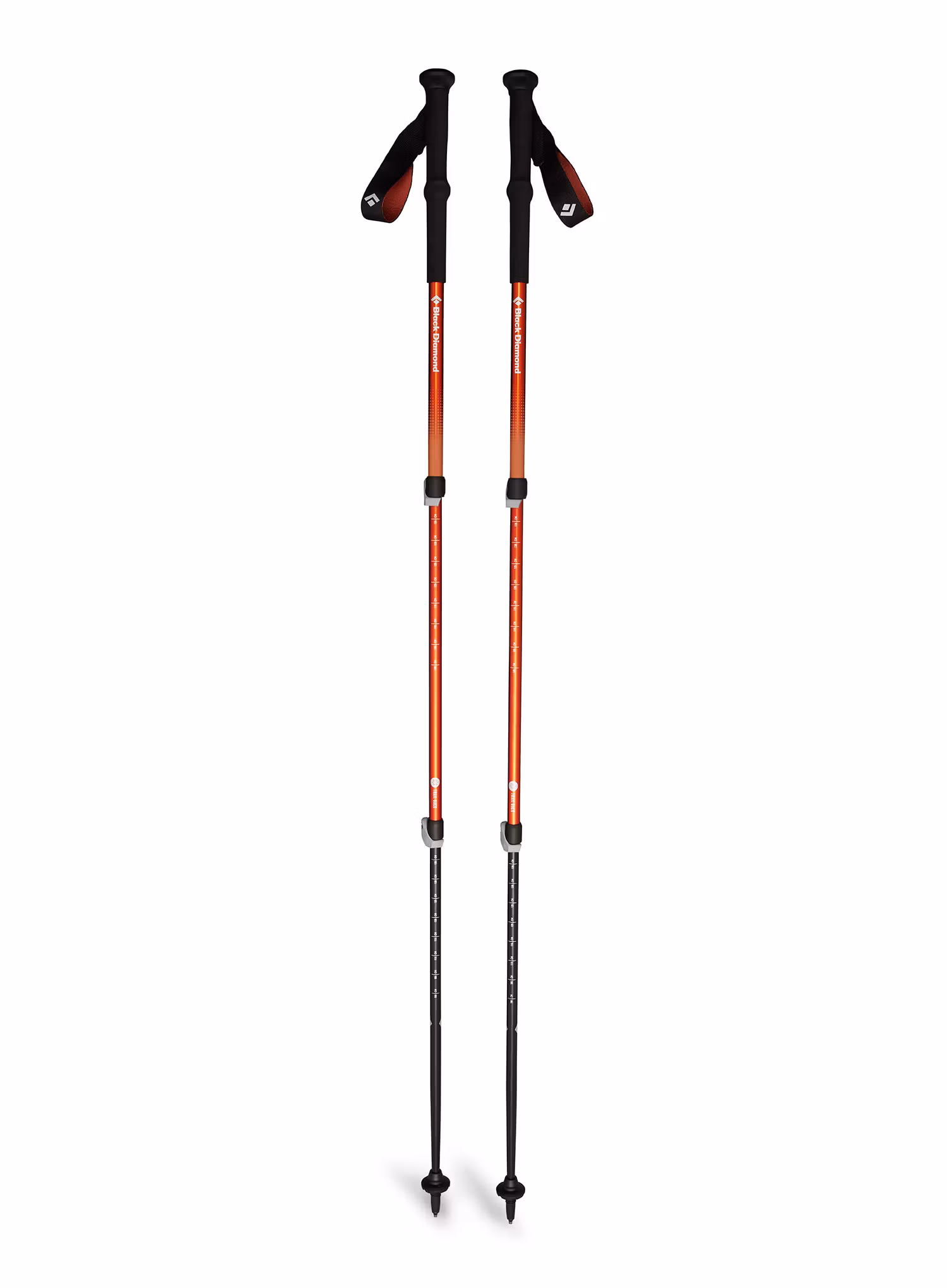 BlackDiamondTrailBackTrekkingPoles_burntsienna_793661603603a.jpg