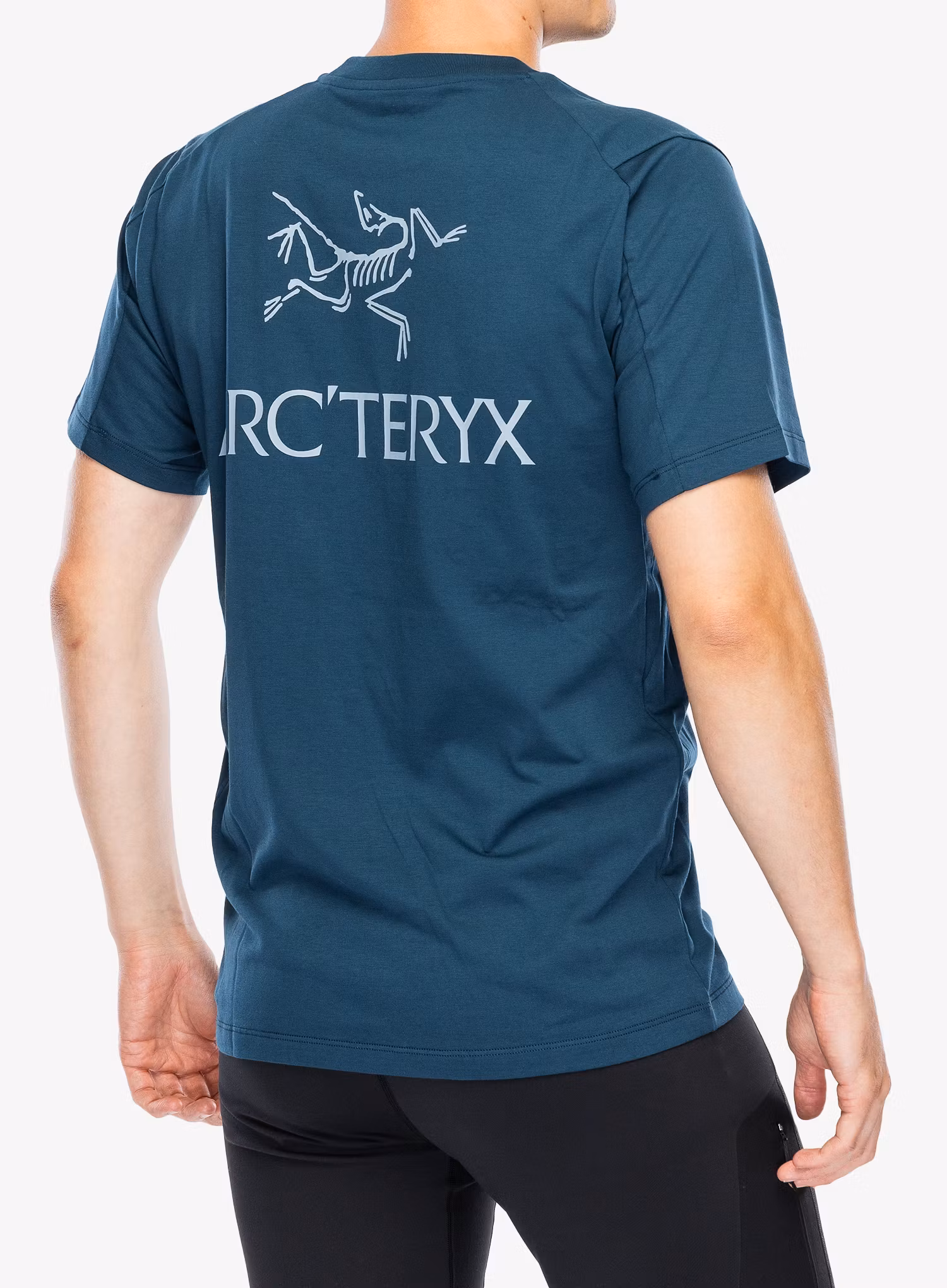 Футболка бавовняна Arcteryx Kragg SL Cotton Bird Word SS - nightscape/lt night