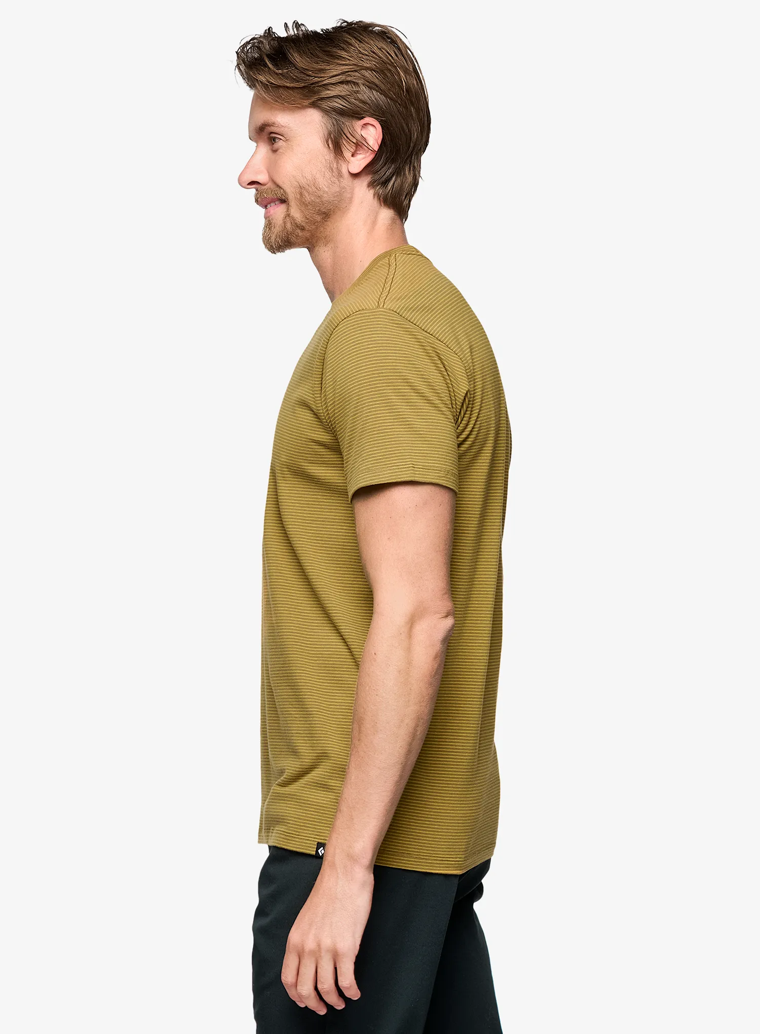 Футболка бавовняна Black Diamond BD Stripe SS Tee - dark curry/amber