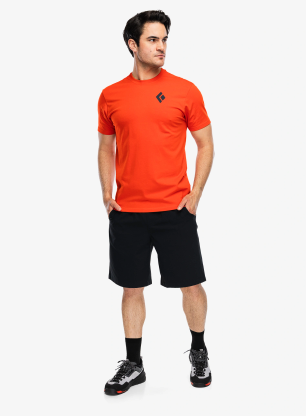 Футболка бавовняна Black Diamond Equipment For Alpinist Tee - octane