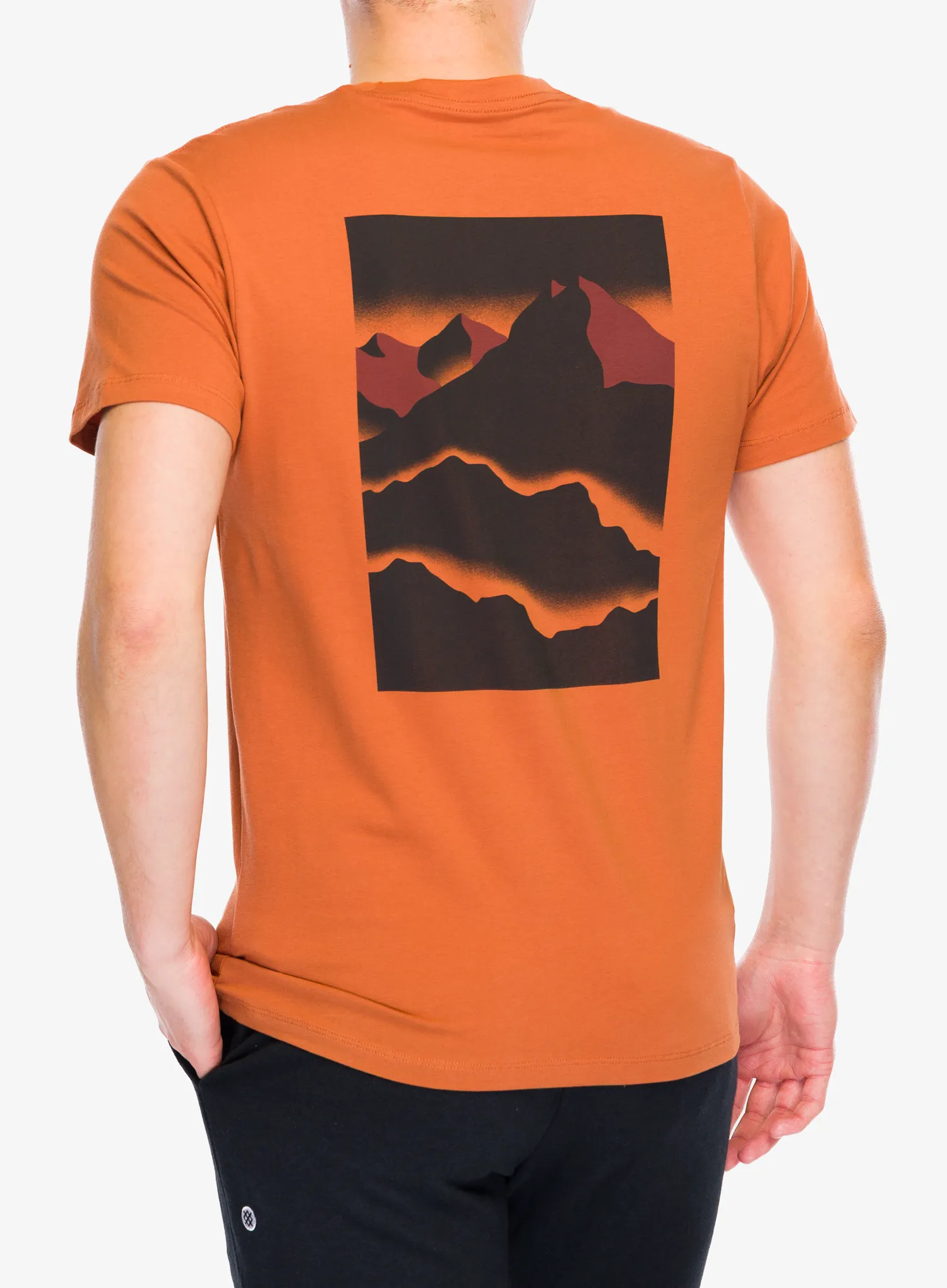 Футболка бавовняна Black Diamond Mountainscape SS Tee - moab brown