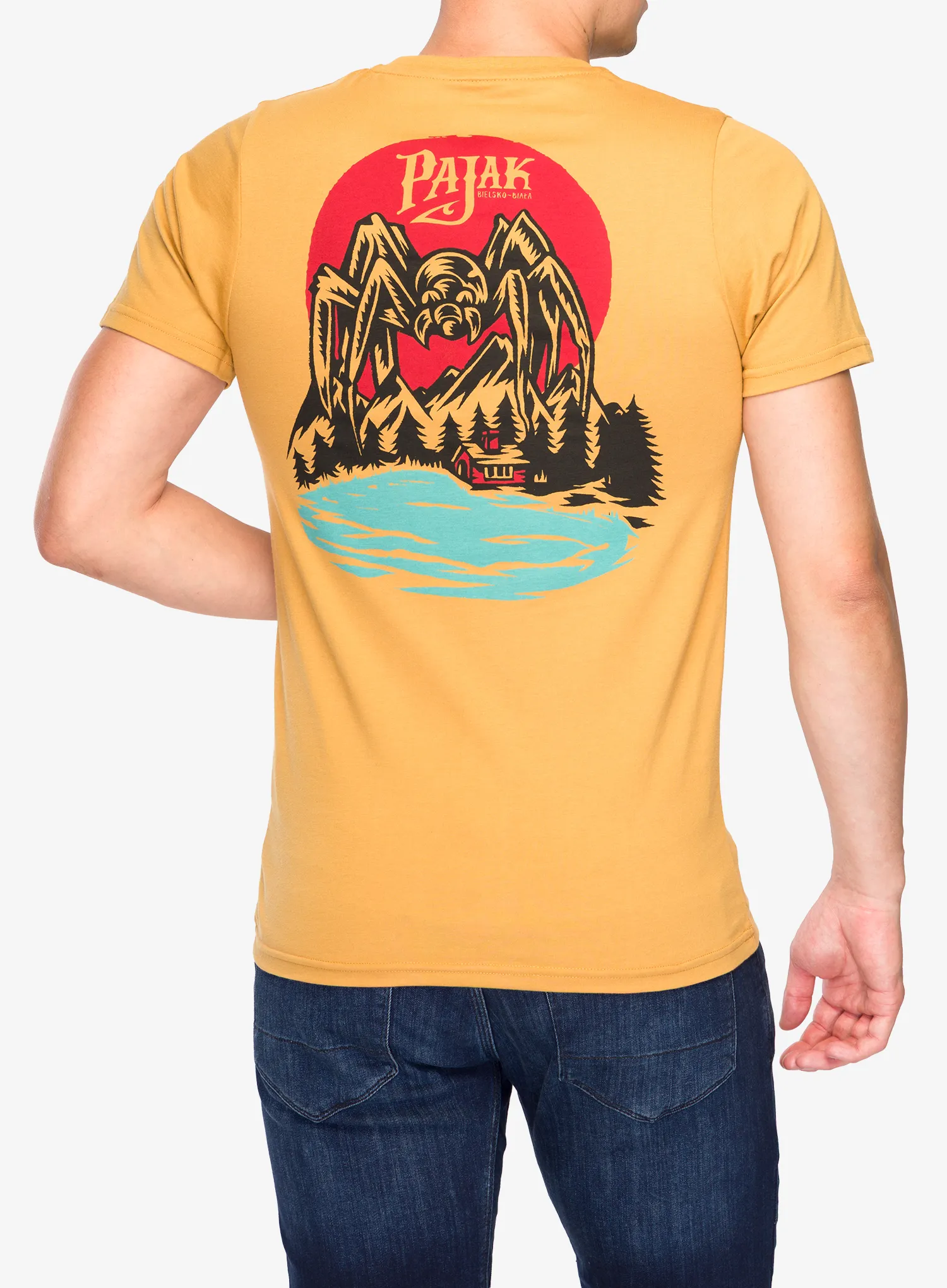 Футболка бавовняна Pajak x Swanski Spider T-Shirt - acorn